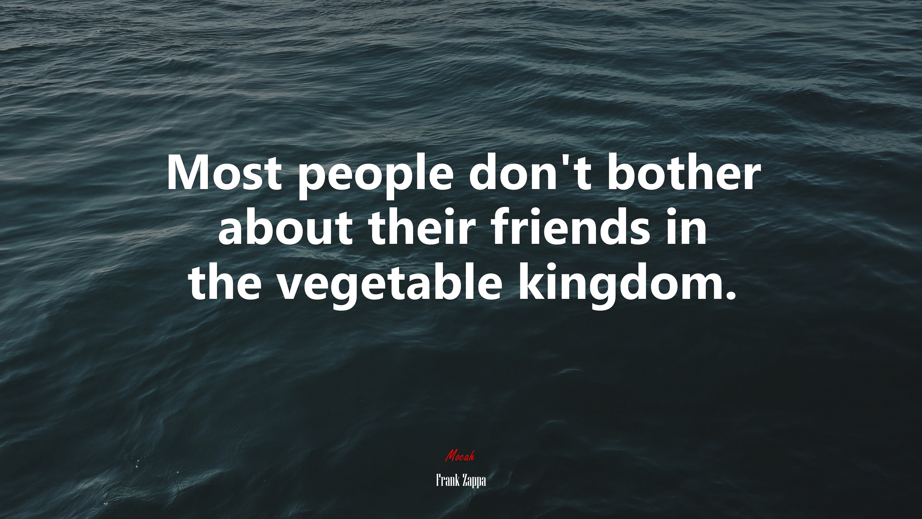 Most people don’t bother about their friends in the vegetable kingdom. | Frank Zappa quote HD Wallpaper