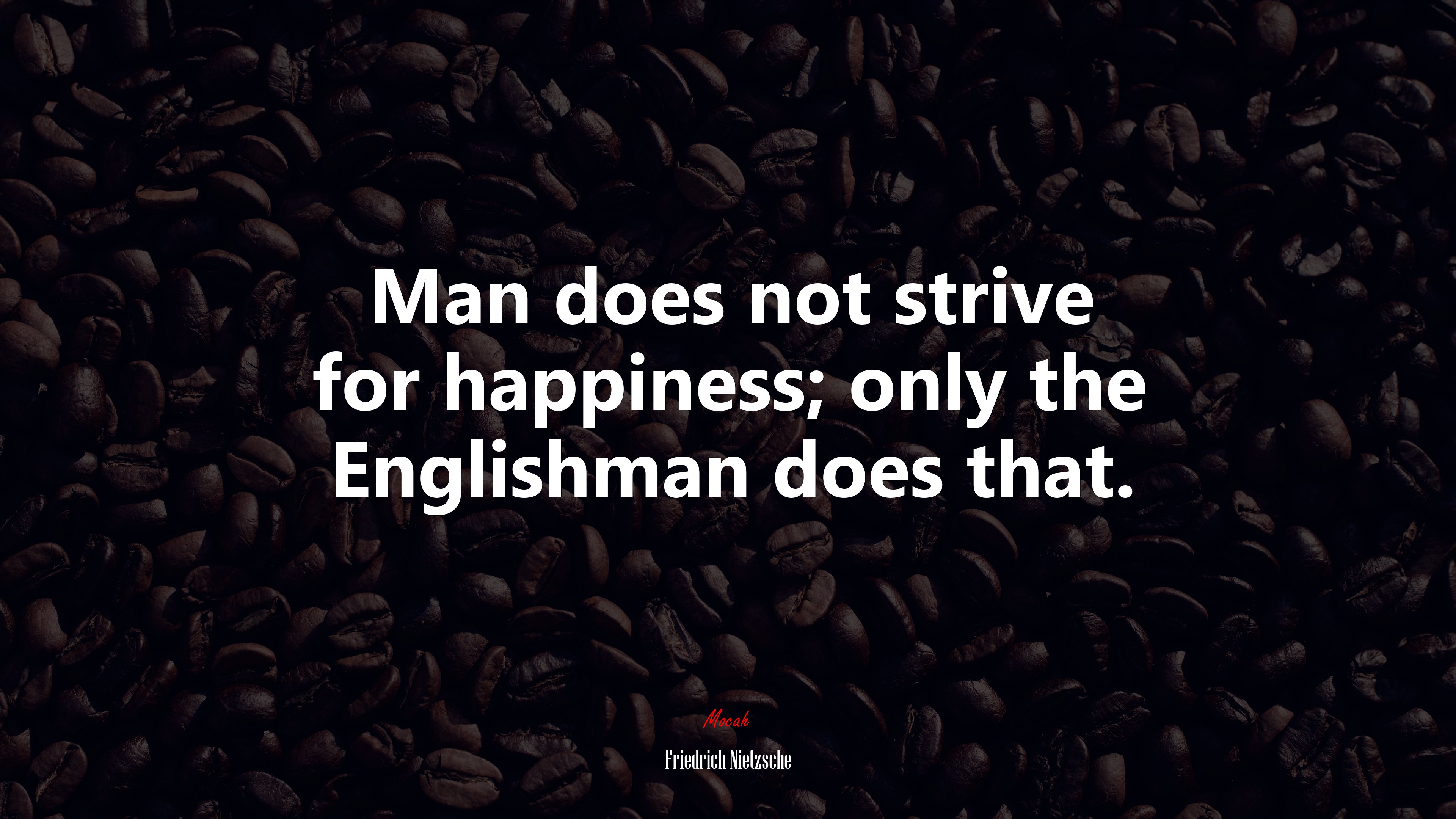 Man does not strive for happiness; only the Englishman does that. | Friedrich Nietzsche quote HD Wallpaper
