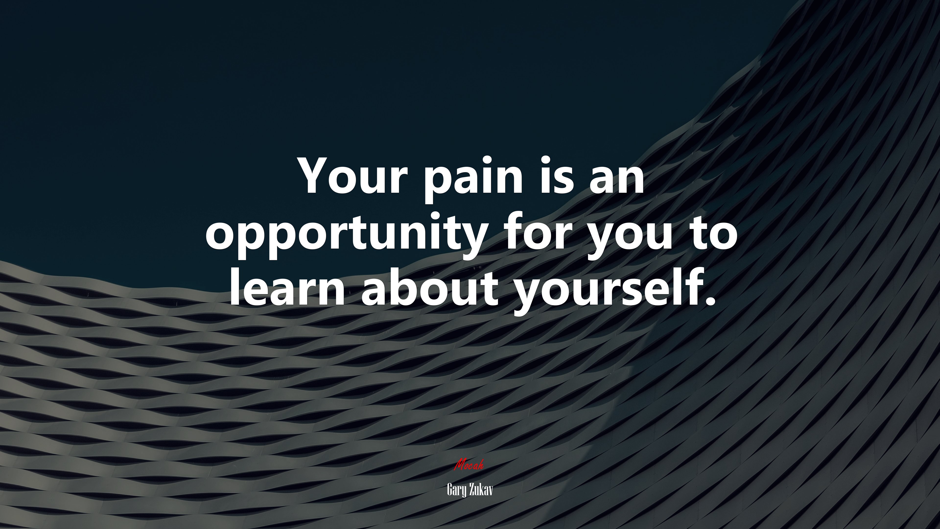 Your pain is an opportunity for you to learn about yourself. | Gary Zukav quote HD Wallpaper