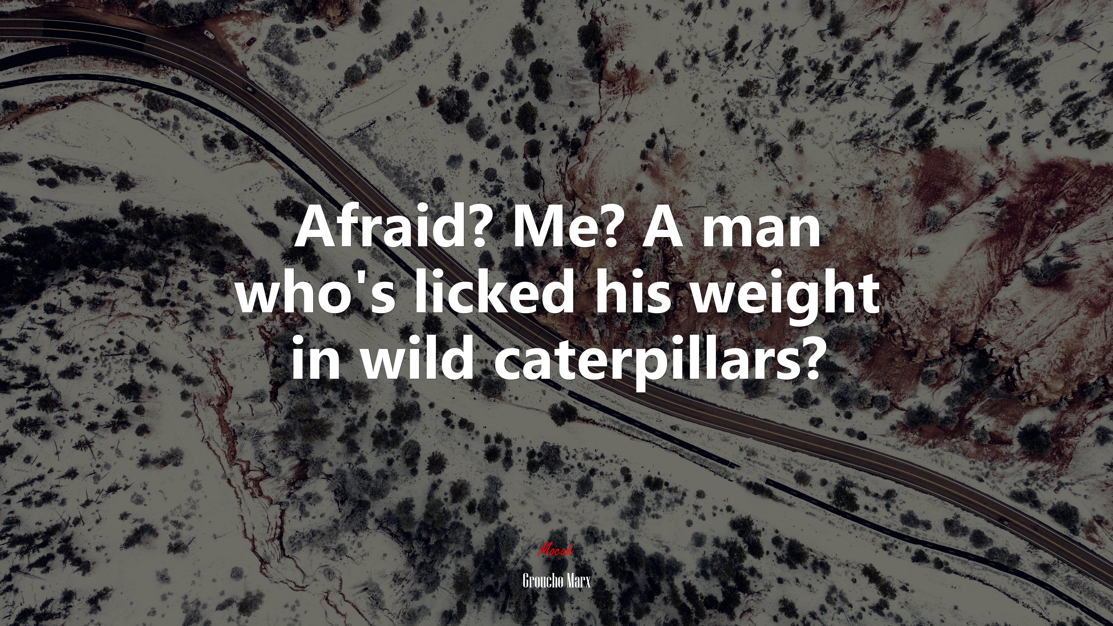 Afraid? Me? A man who’s licked his weight in wild caterpillars? | Groucho Marx quote HD Wallpaper