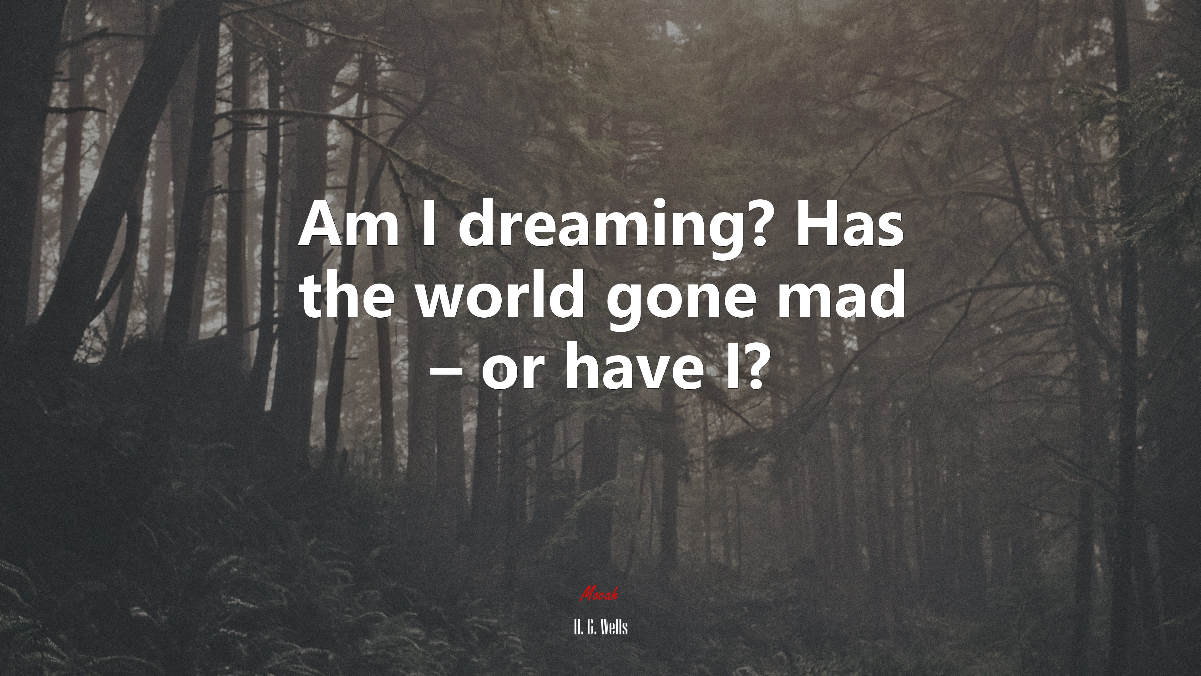 Am I dreaming? Has the world gone mad – or have I? | H. G. Wells quote HD Wallpaper