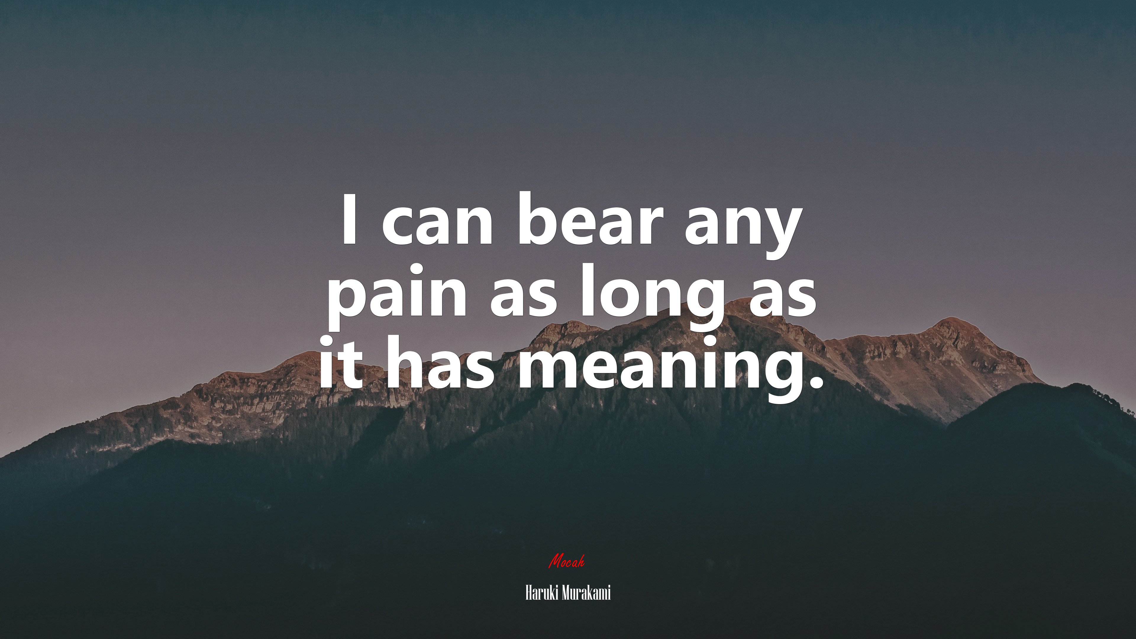 I can bear any pain as long as it has meaning. | Haruki Murakami quote HD Wallpaper