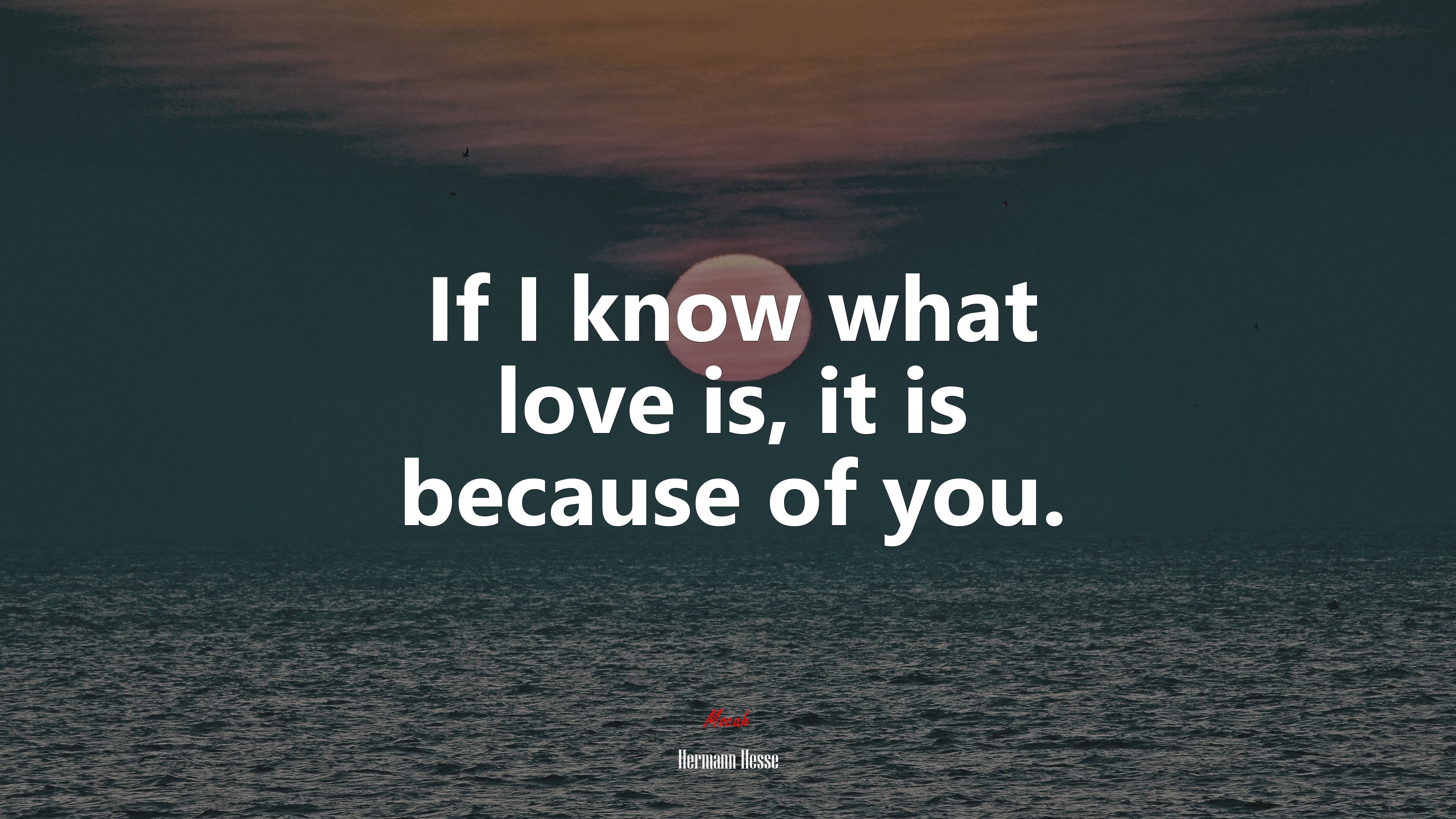 If I know what love is, it is because of you. | Hermann Hesse quote HD Wallpaper