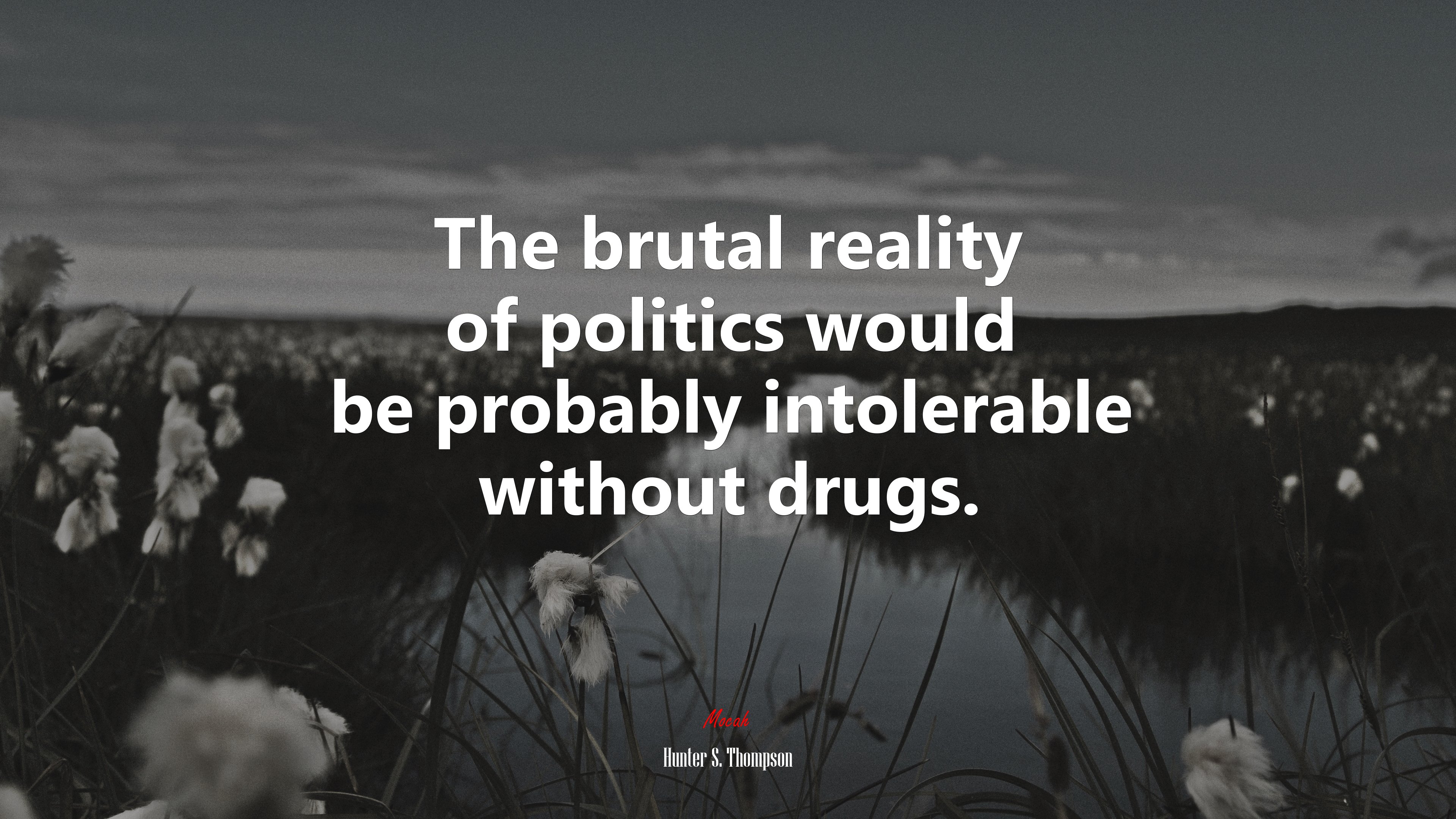 The brutal reality of politics would be probably intolerable without drugs. | Hunter S. Thompson quote HD Wallpaper