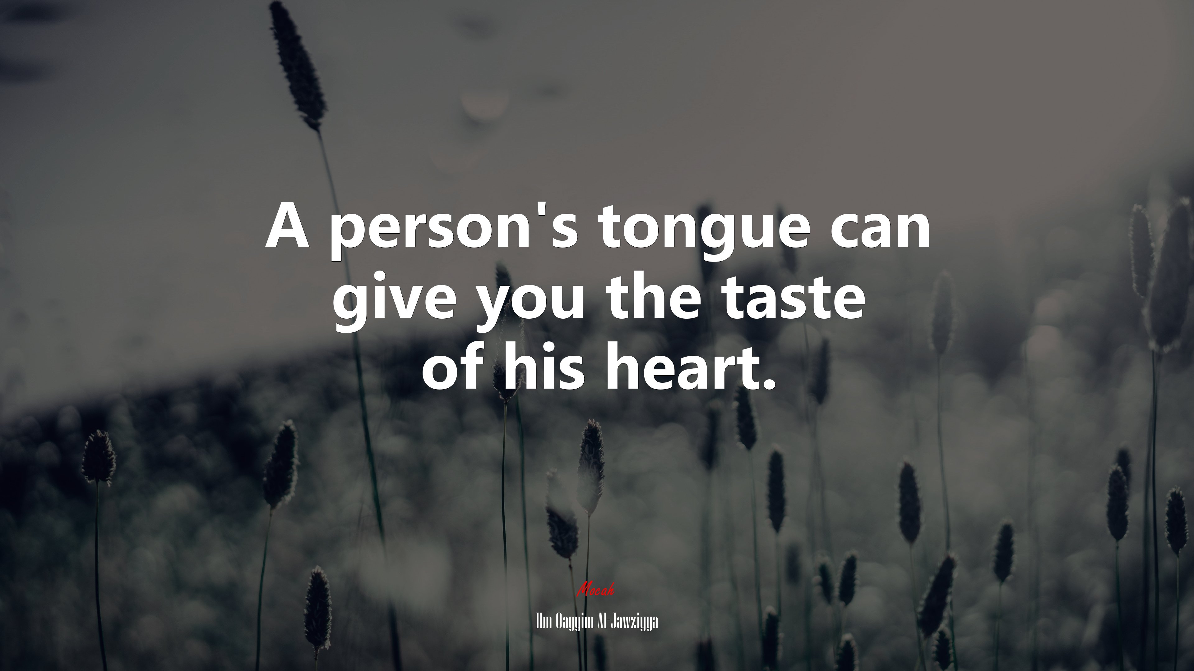 A person’s tongue can give you the taste of his heart. | Ibn Qayyim Al-Jawziyya quote HD Wallpaper