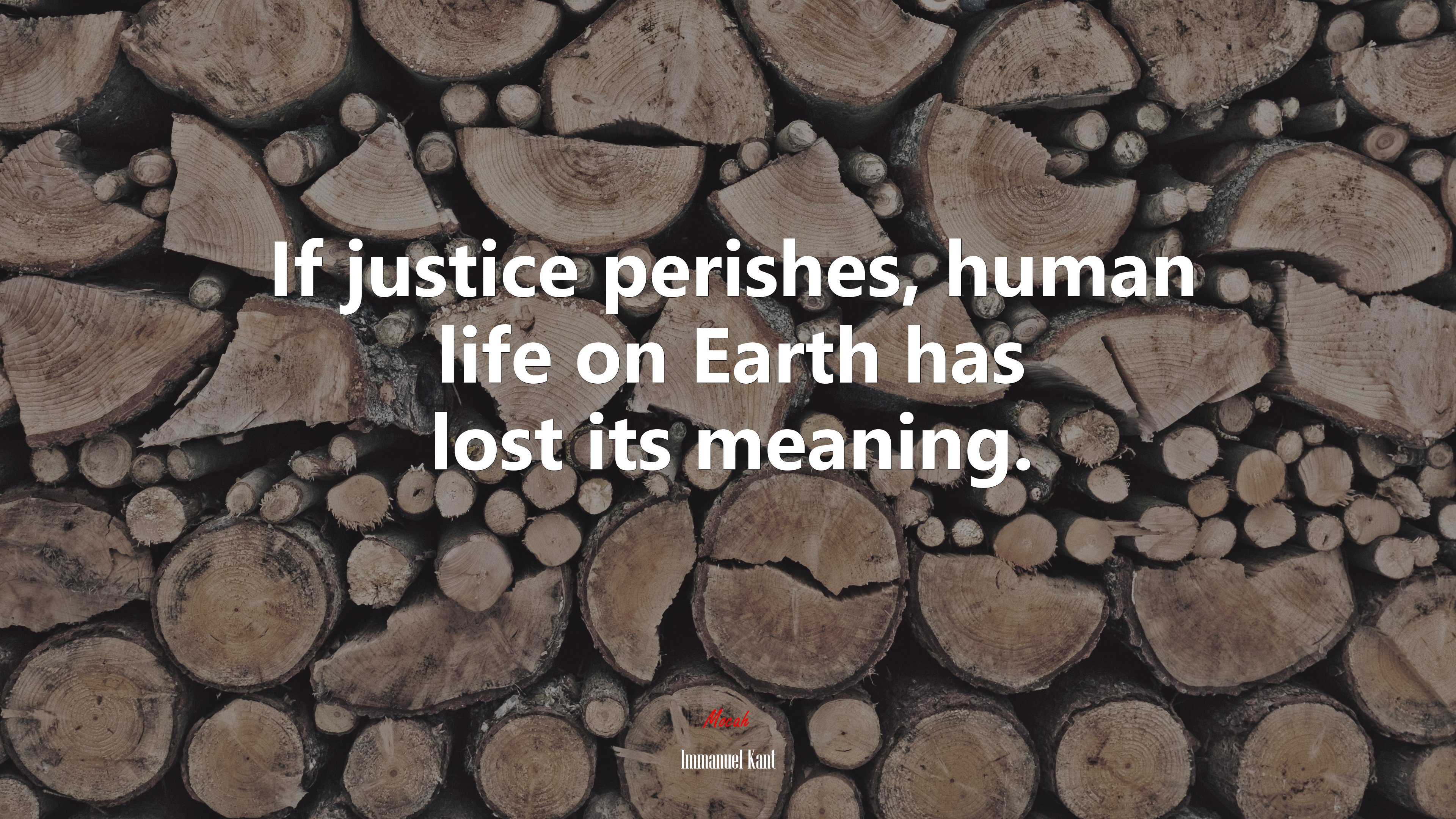 If justice perishes, human life on Earth has lost its meaning. | Immanuel Kant quote HD Wallpaper