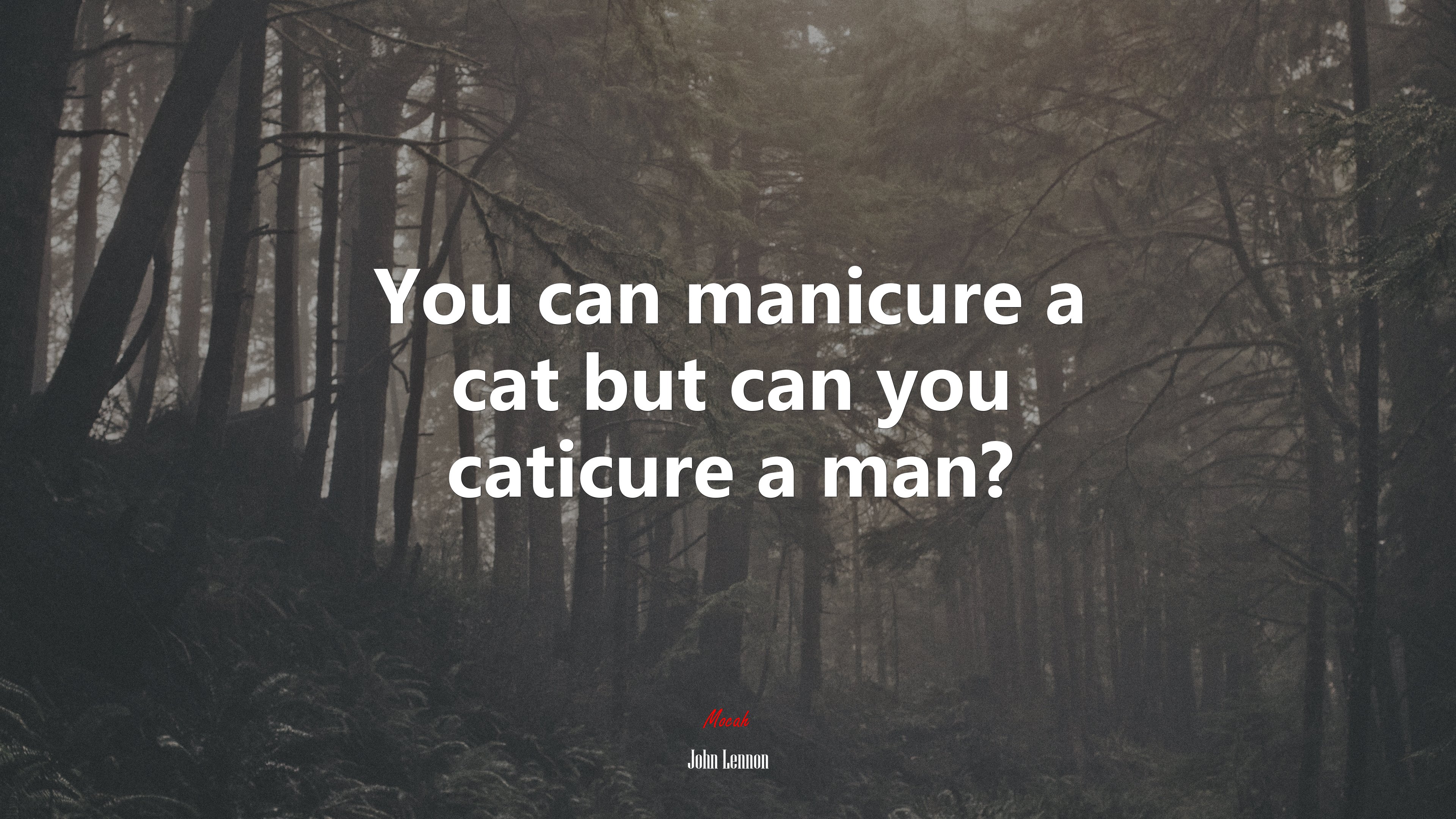 You can manicure a cat but can you caticure a man? | John Lennon quote HD Wallpaper