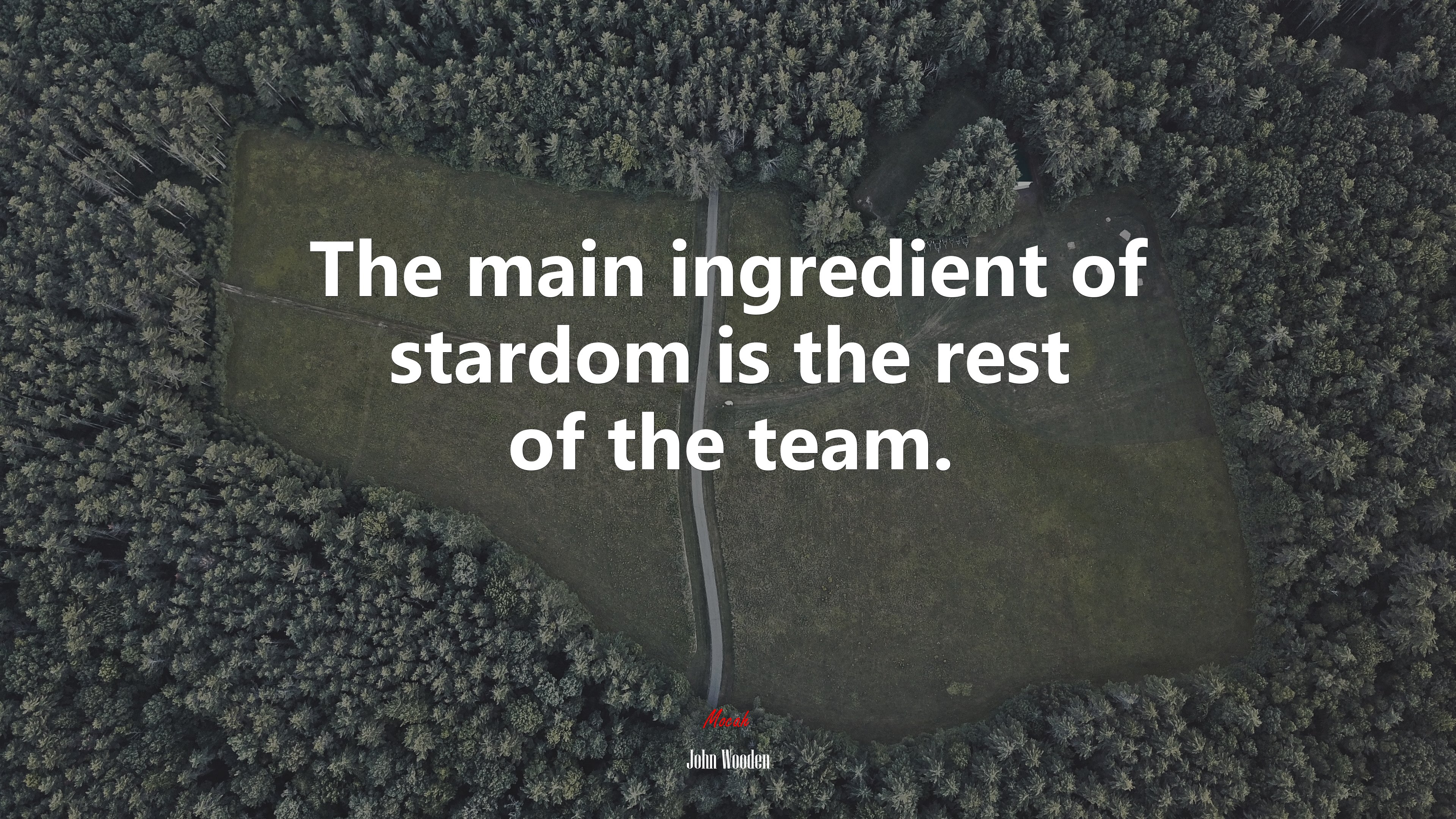 The main ingredient of stardom is the rest of the team. | John Wooden quote HD Wallpaper