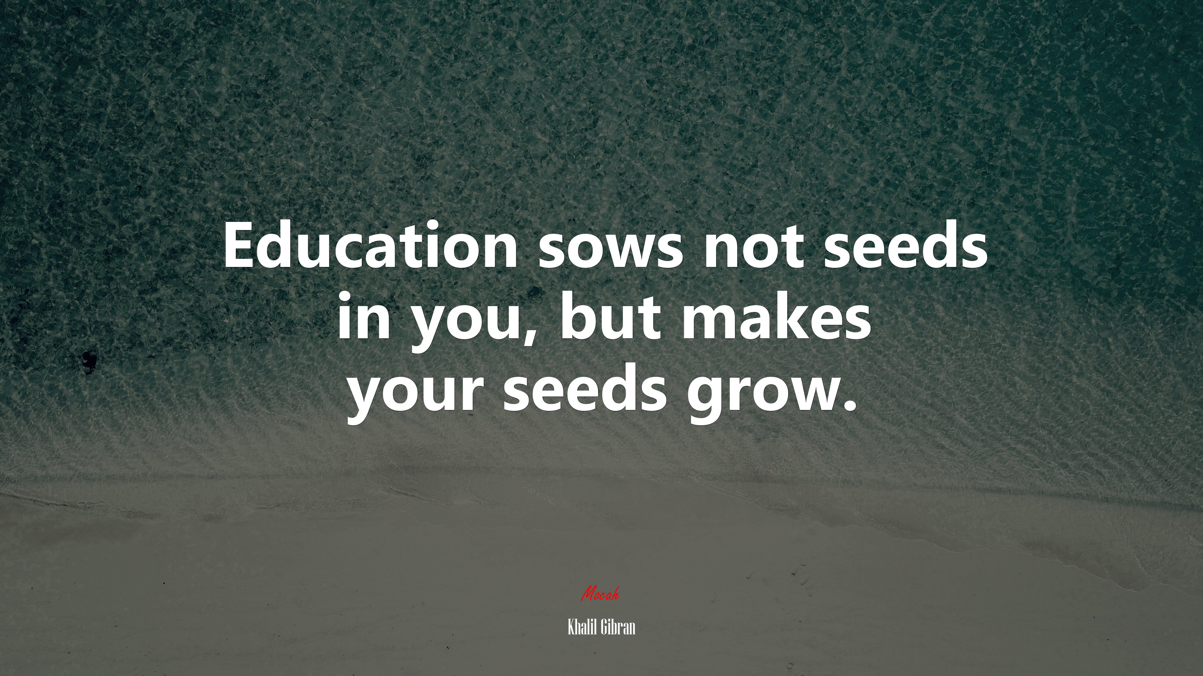 Education sows not seeds in you, but makes your seeds grow. | Khalil Gibran quote HD Wallpaper
