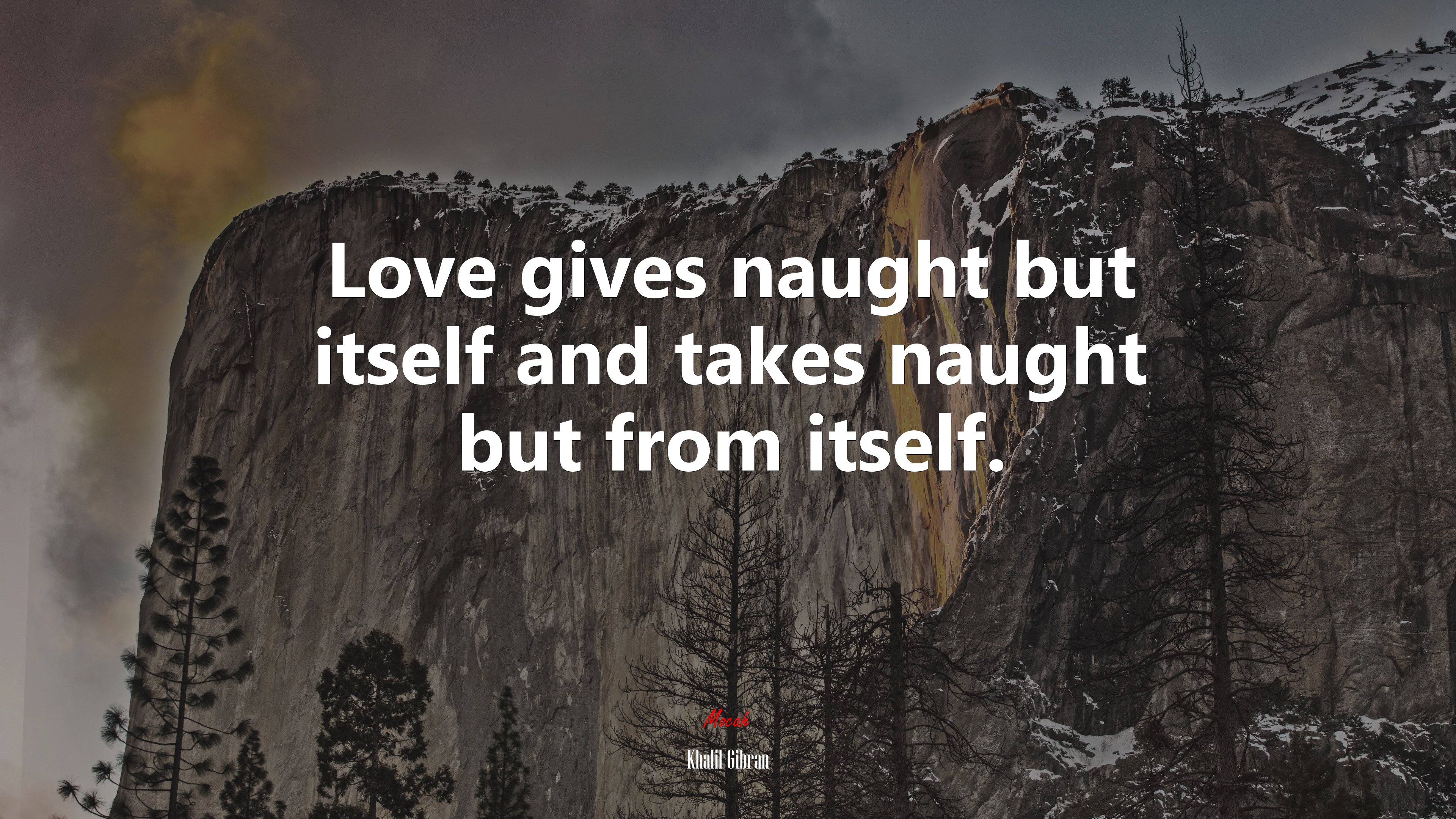 Love gives naught but itself and takes naught but from itself. | Khalil Gibran quote HD Wallpaper