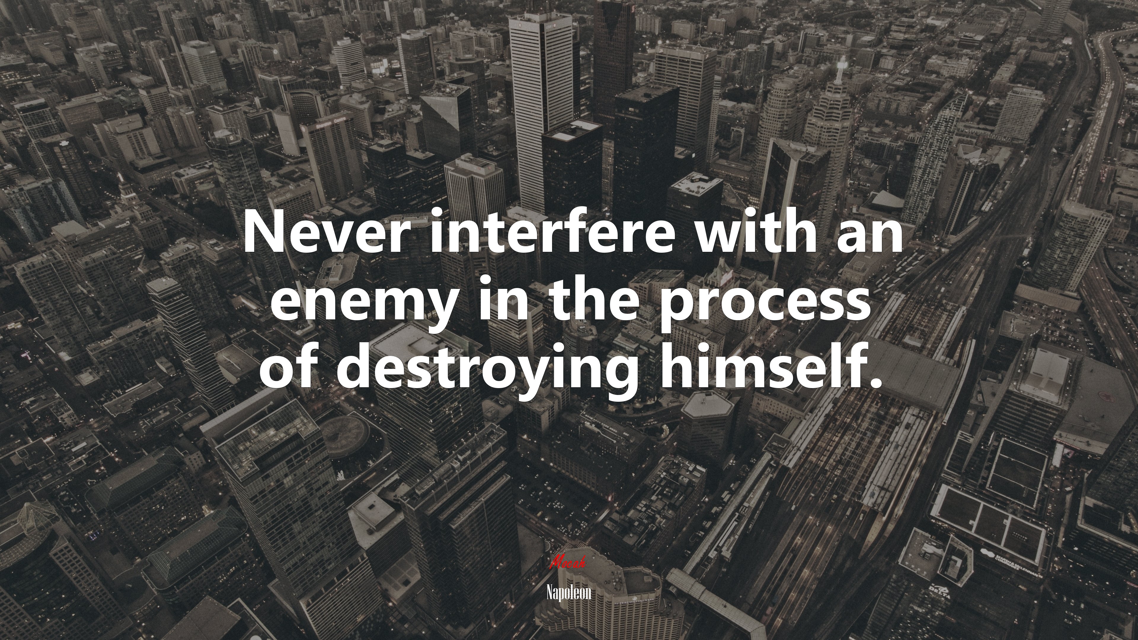 Never interfere with an enemy in the process of destroying himself. | Napoleon quote HD Wallpaper