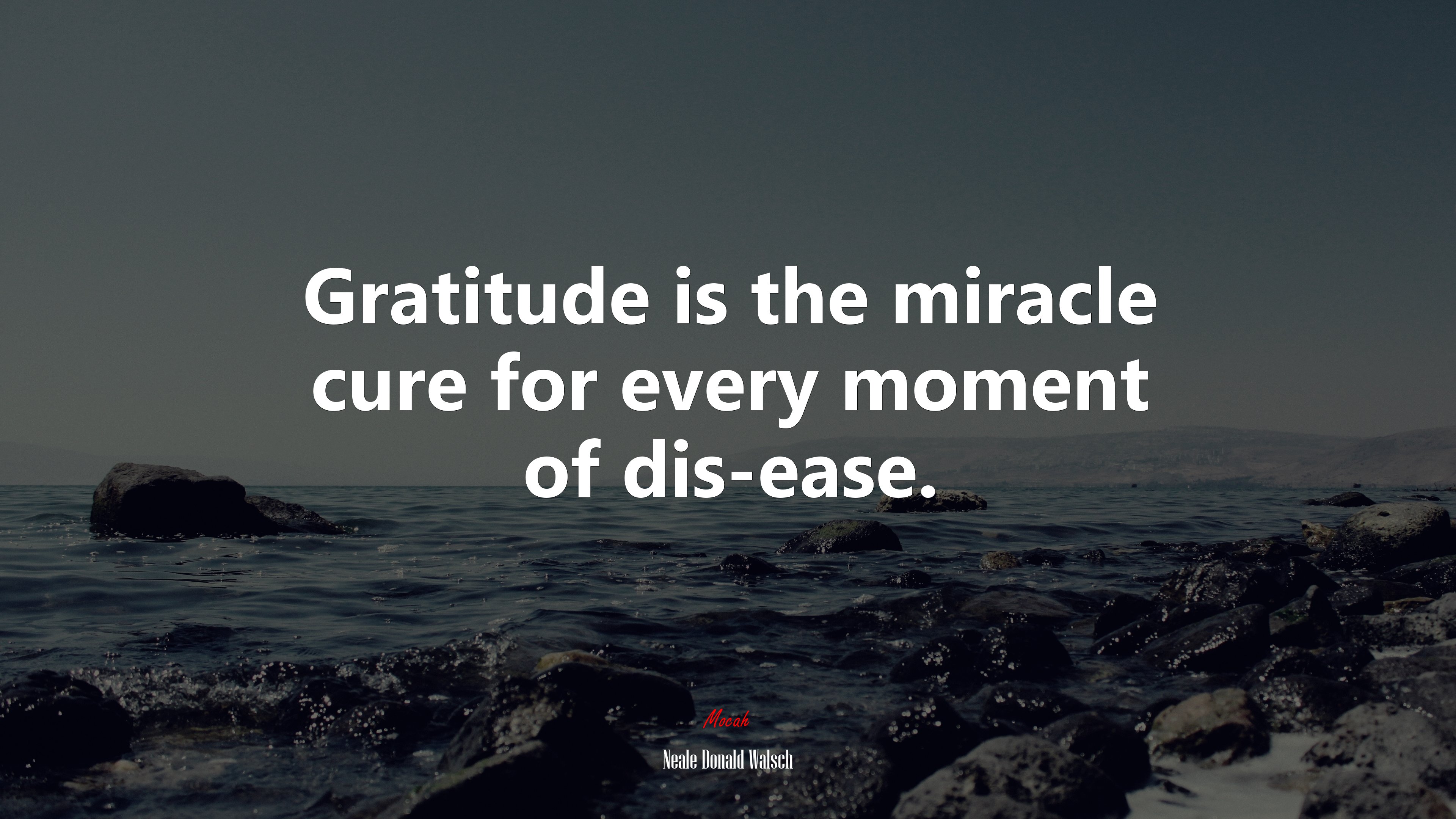 Gratitude is the miracle cure for every moment of dis-ease. | Neale Donald Walsch quote HD Wallpaper