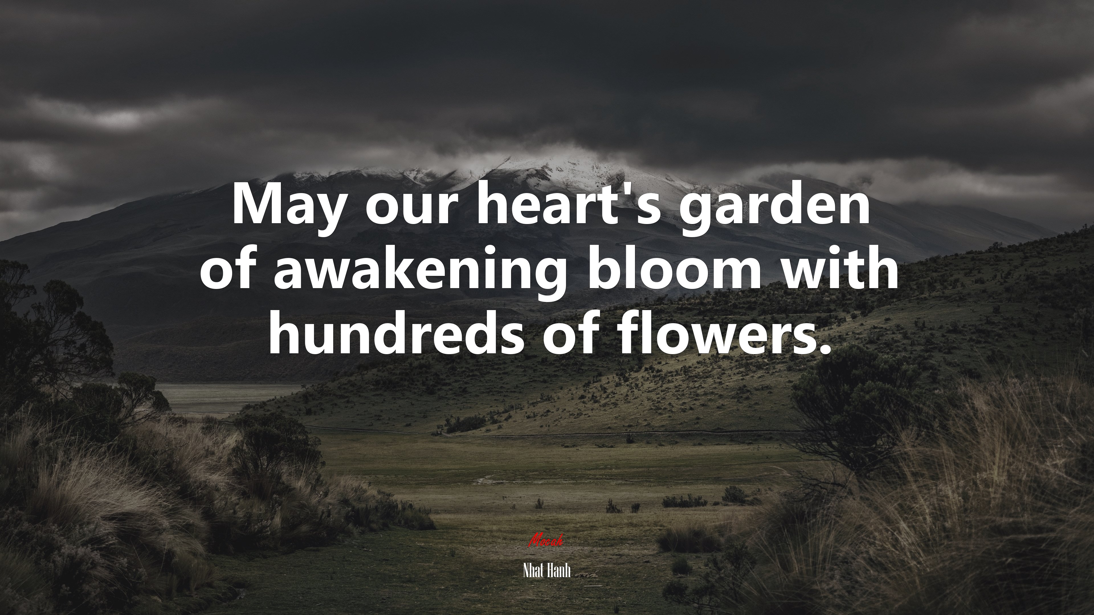 May our heart’s garden of awakening bloom with hundreds of flowers. | Nhat Hanh quote HD Wallpaper