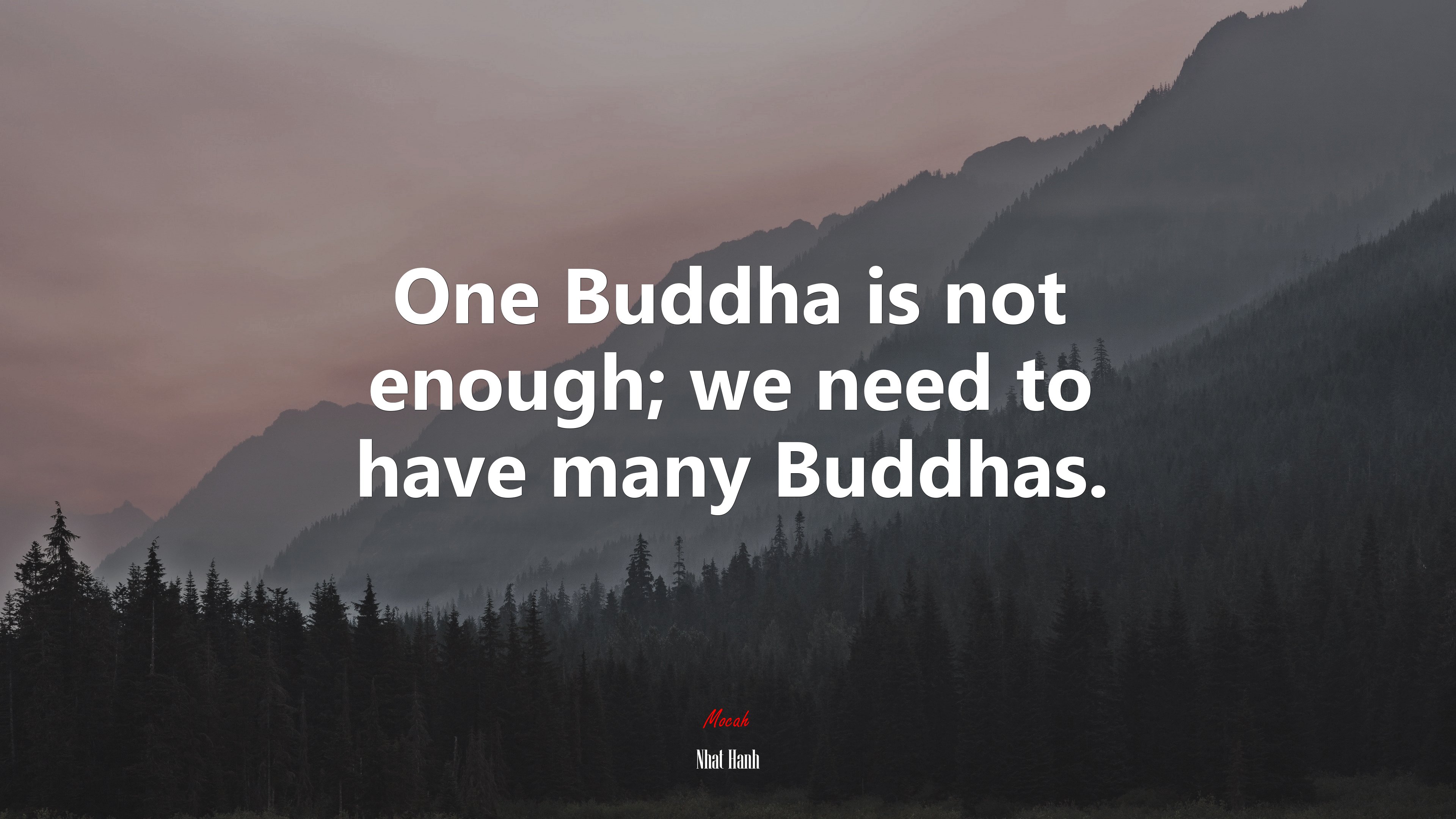 One Buddha is not enough; we need to have many Buddhas. | Nhat Hanh quote HD Wallpaper
