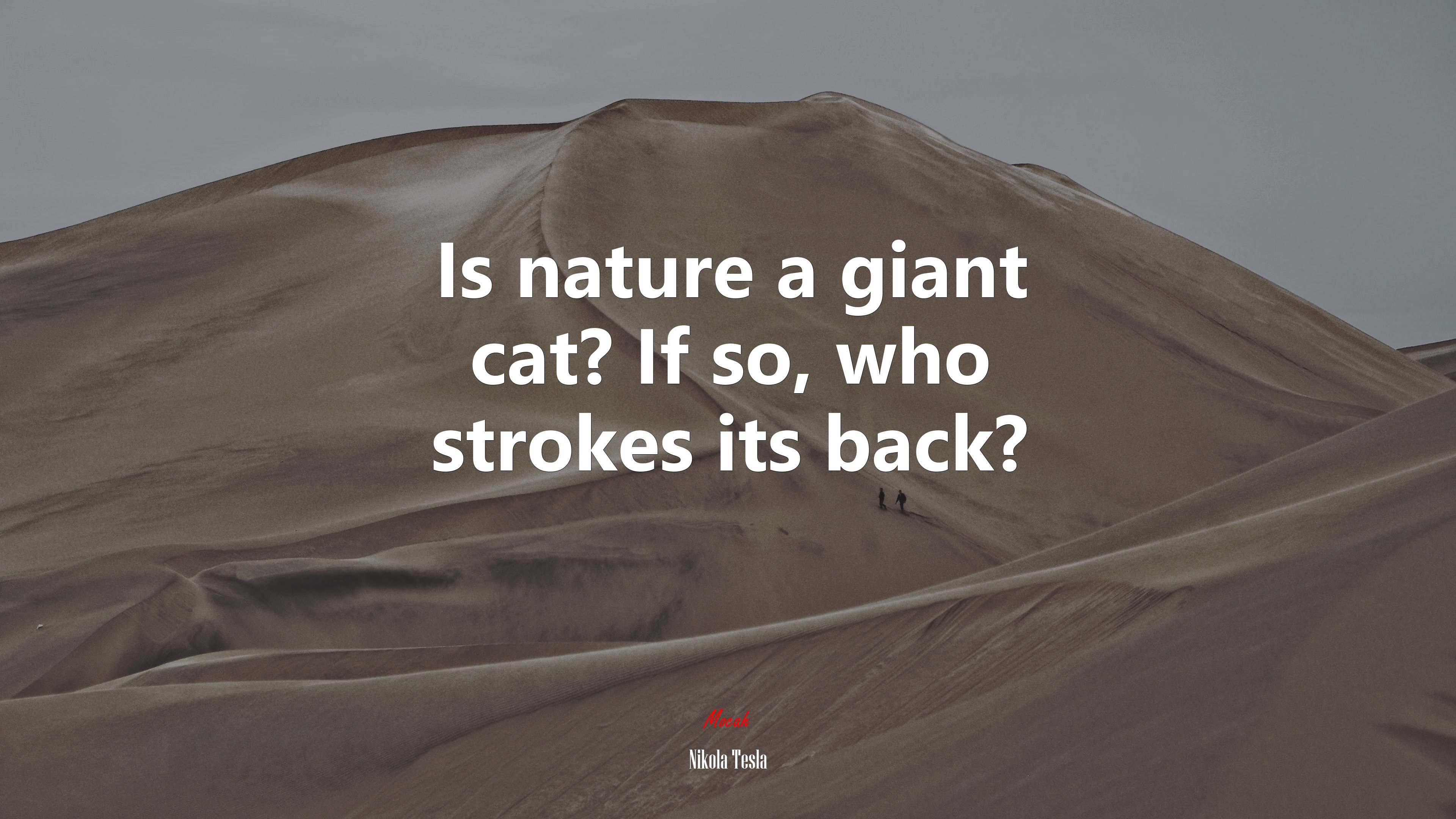 Is nature a giant cat? If so, who strokes its back? | Nikola Tesla quote HD Wallpaper