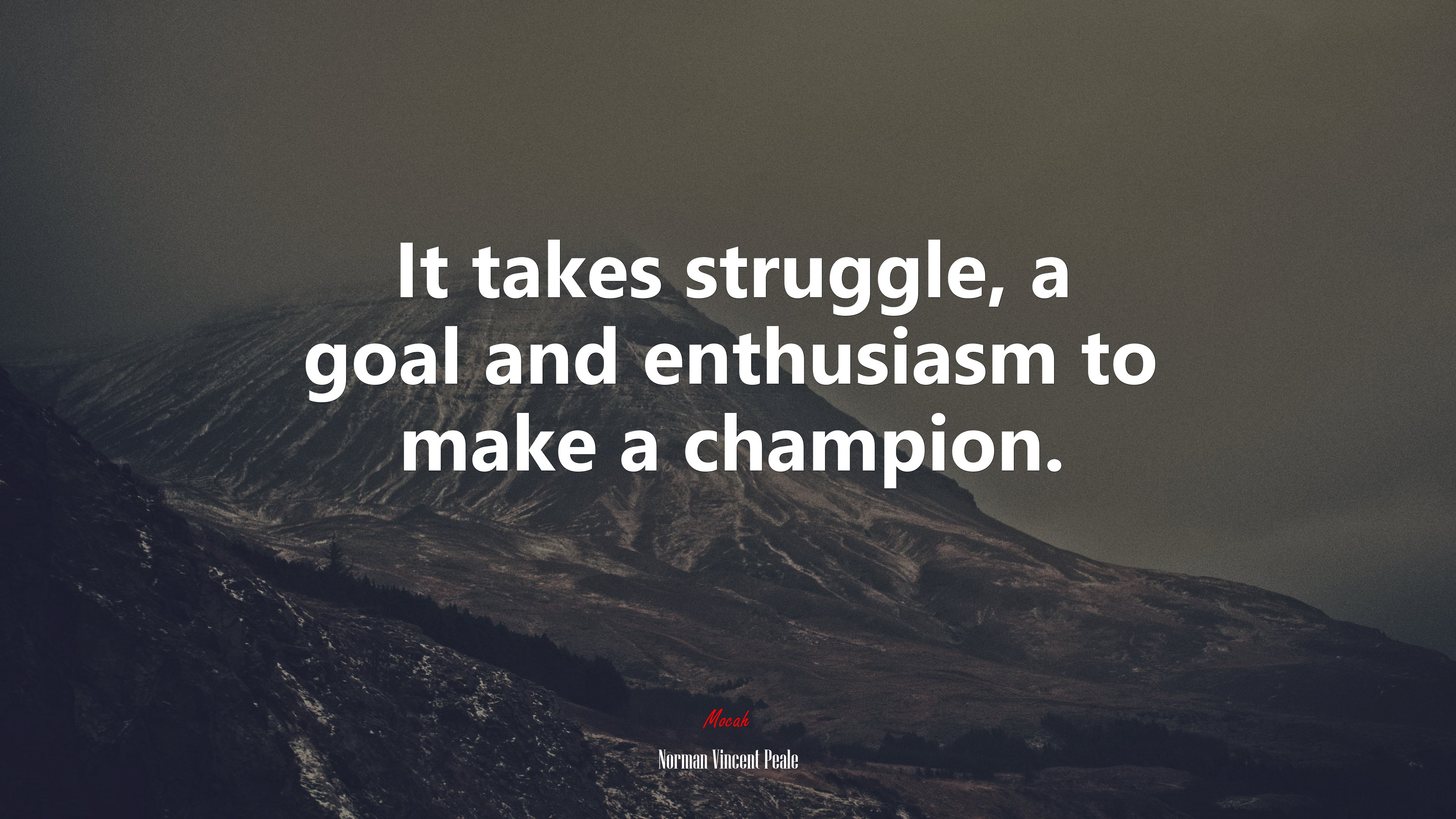 It takes struggle, a goal and enthusiasm to make a champion. | Norman Vincent Peale quote HD Wallpaper
