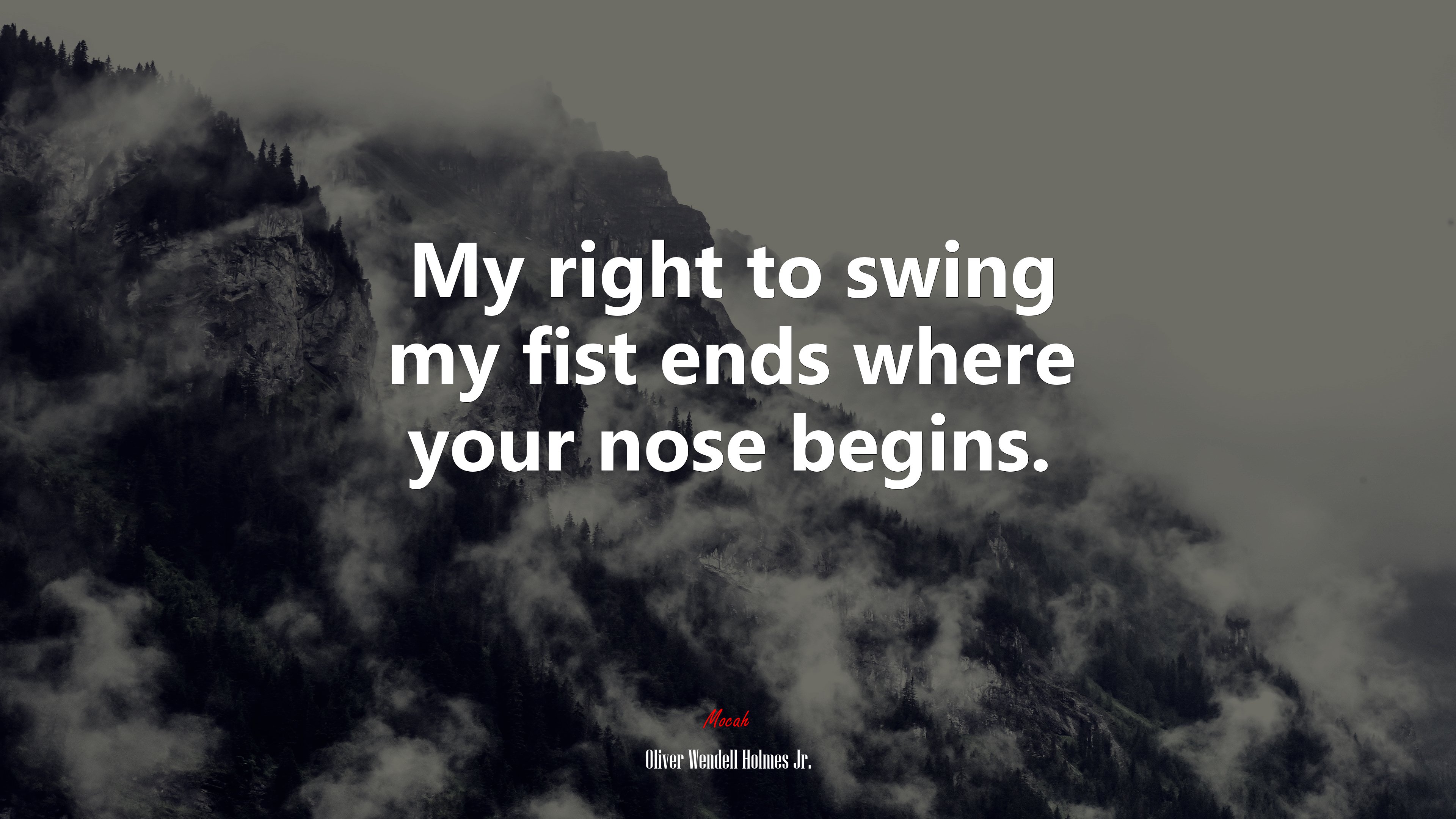 My right to swing my fist ends where your nose begins. | Oliver Wendell Holmes Jr. quote HD Wallpaper
