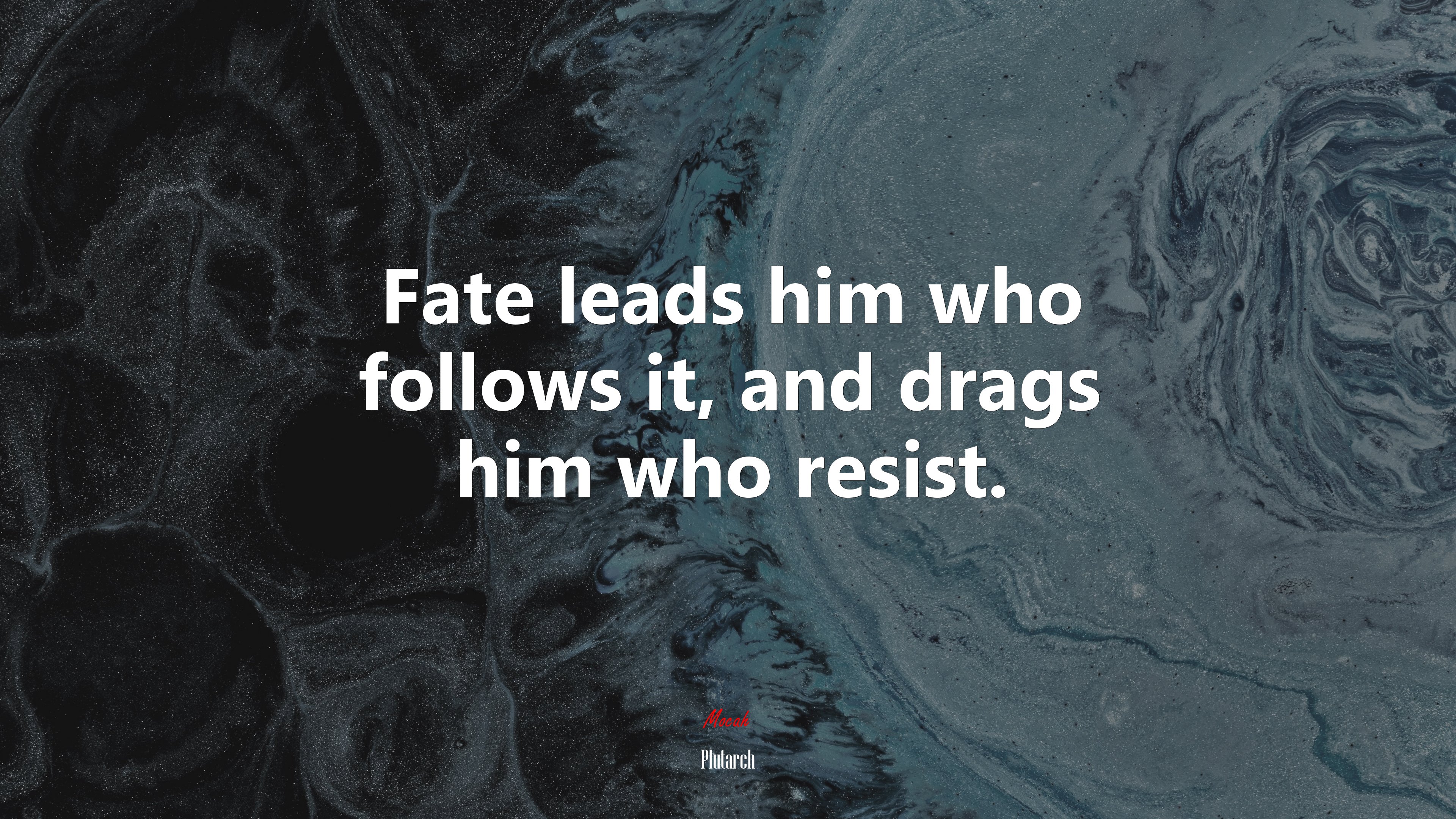 Fate leads him who follows it, and drags him who resist. | Plutarch quote HD Wallpaper