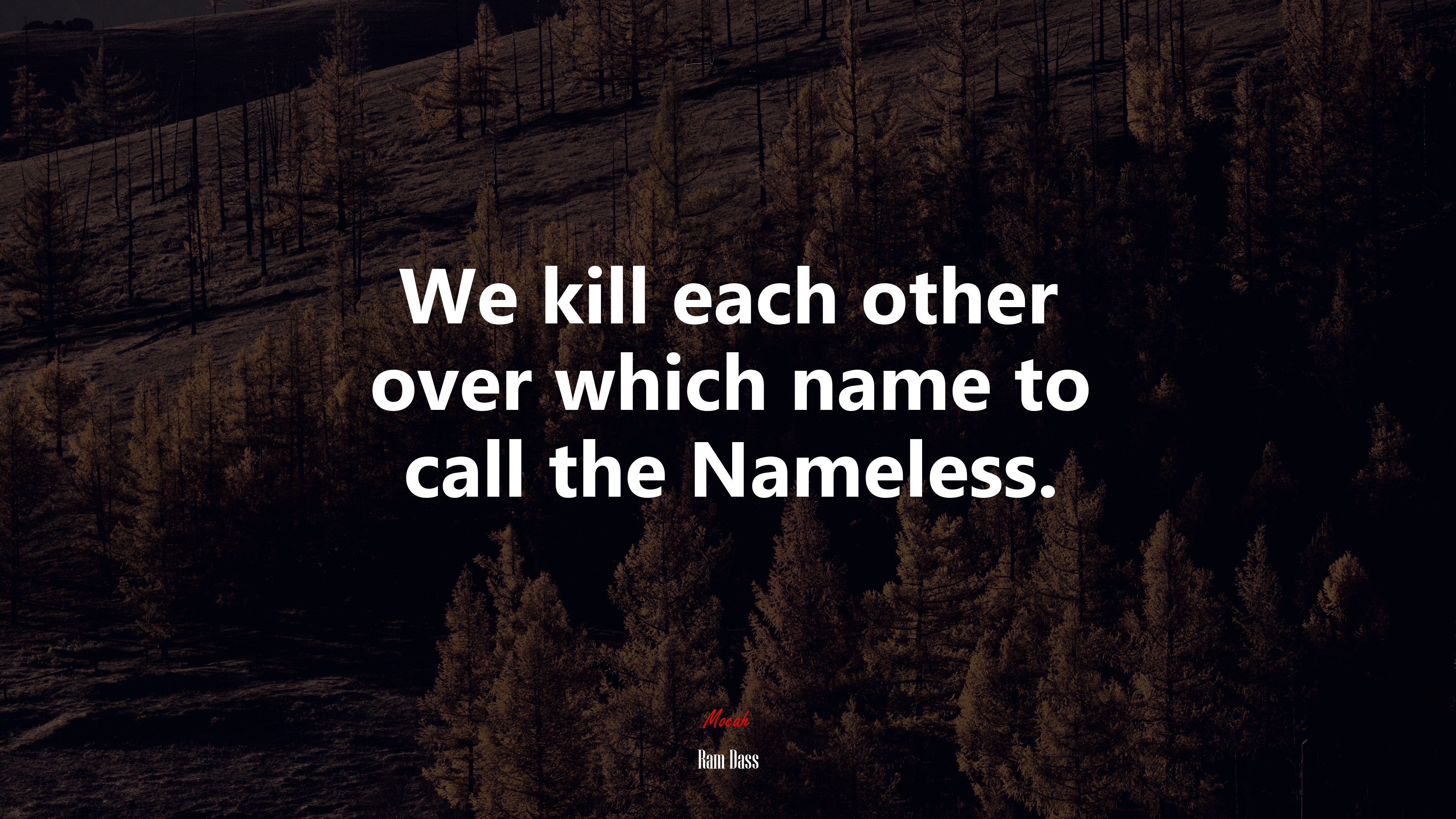 We kill each other over which name to call the Nameless. | Ram Dass quote HD Wallpaper