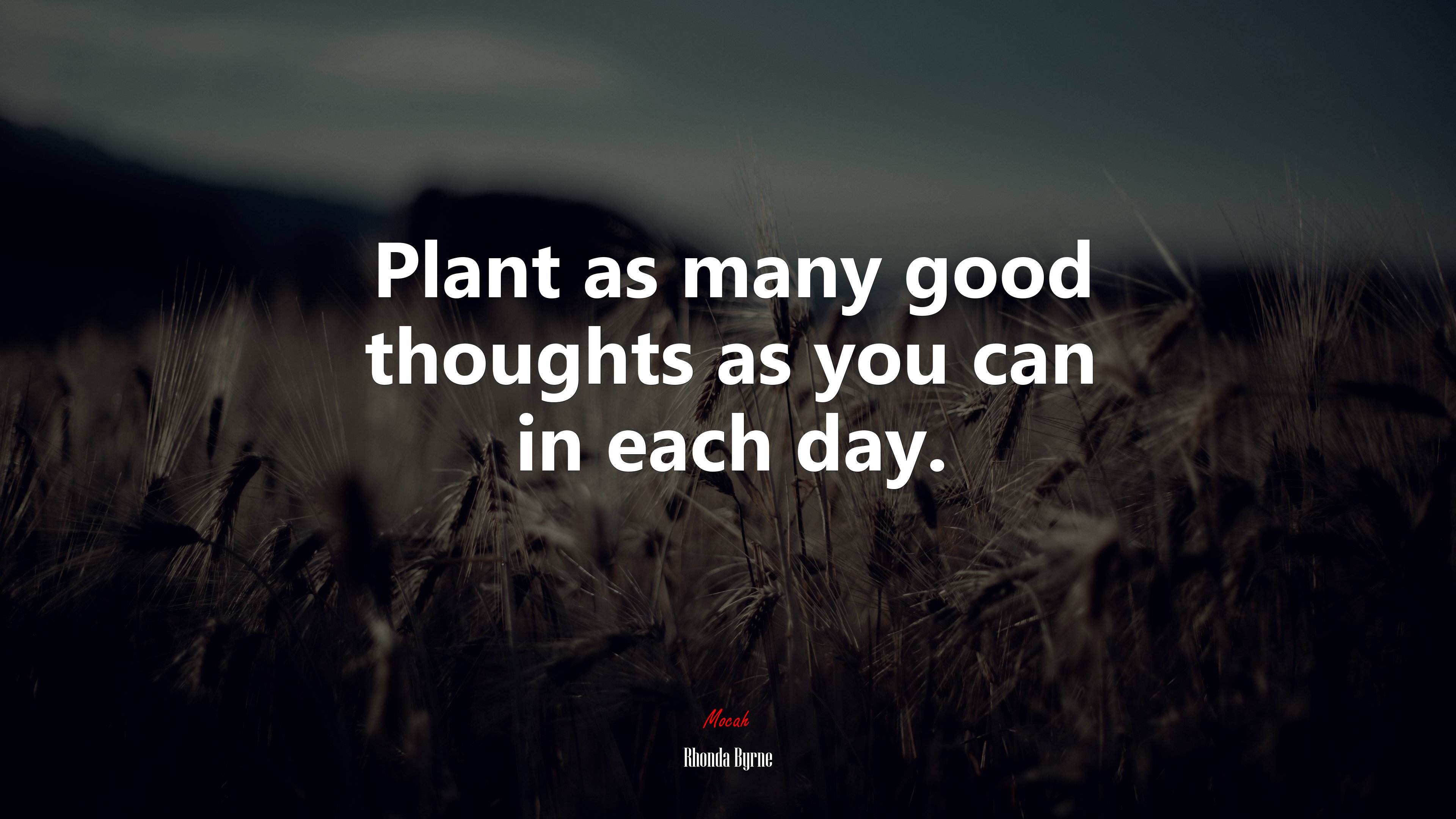 Plant as many good thoughts as you can in each day. | Rhonda Byrne quote HD Wallpaper