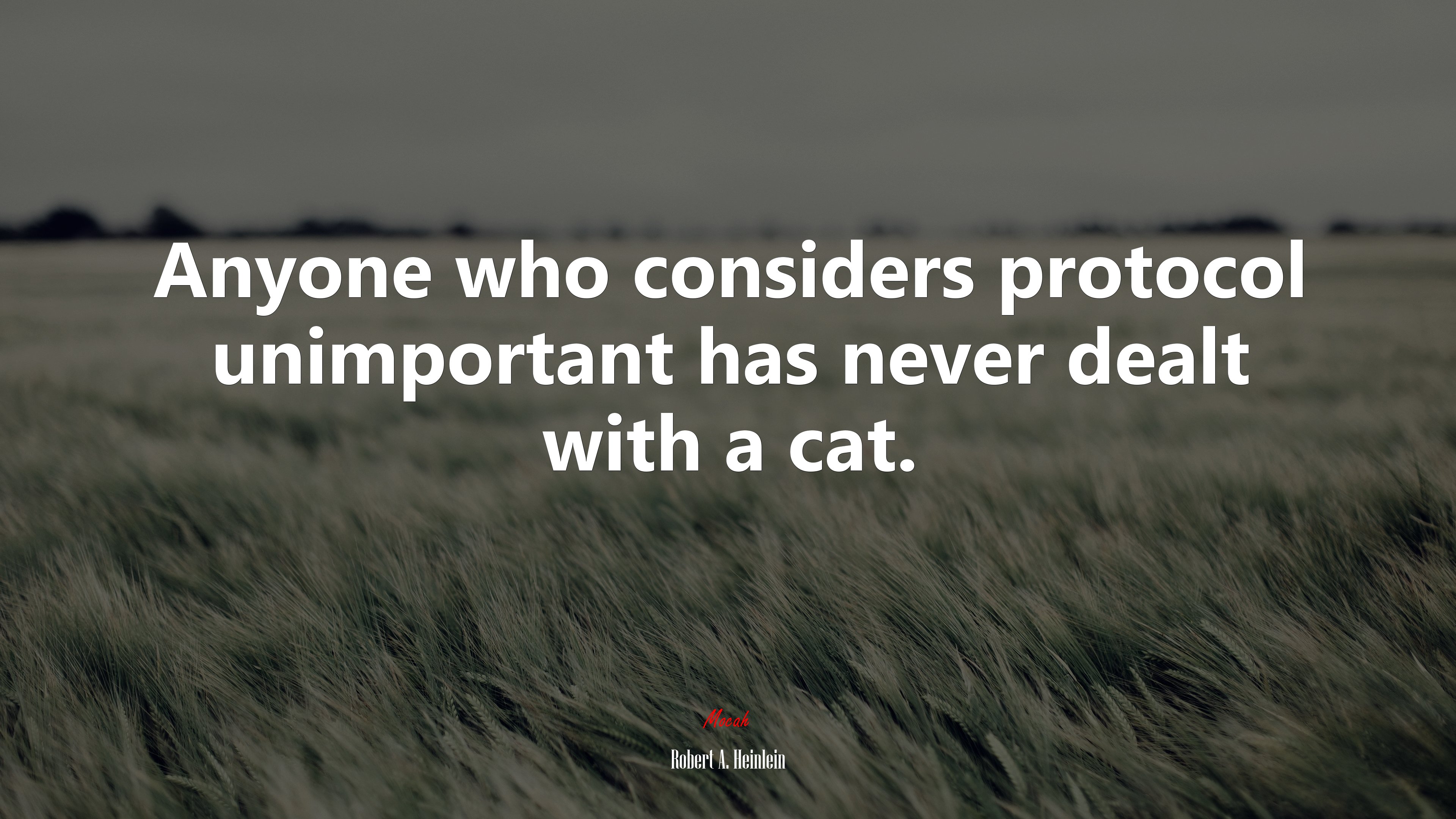 Anyone who considers protocol unimportant has never dealt with a cat. | Robert A. Heinlein quote HD Wallpaper
