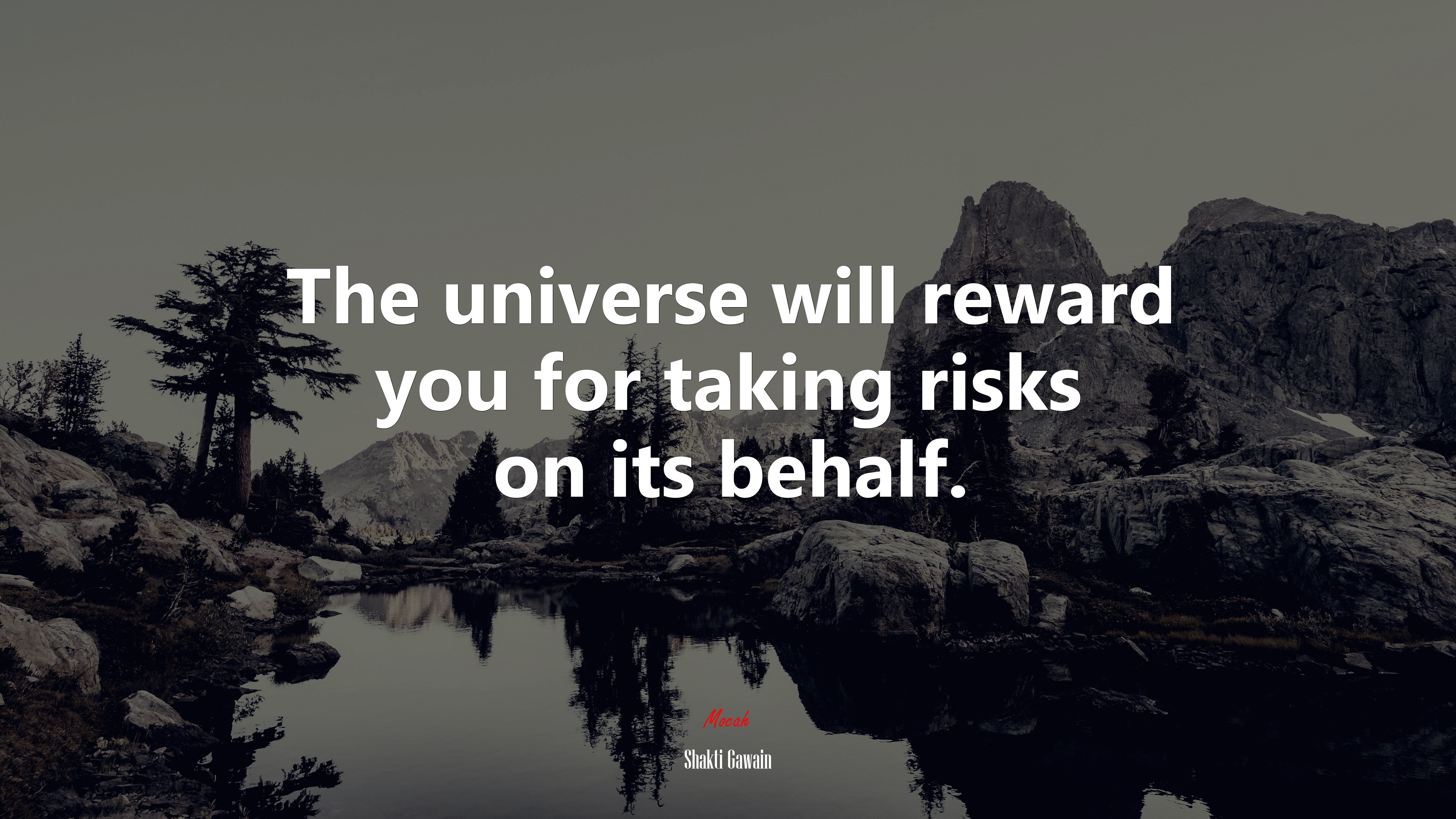 The universe will reward you for taking risks on its behalf. | Shakti Gawain quote HD Wallpaper