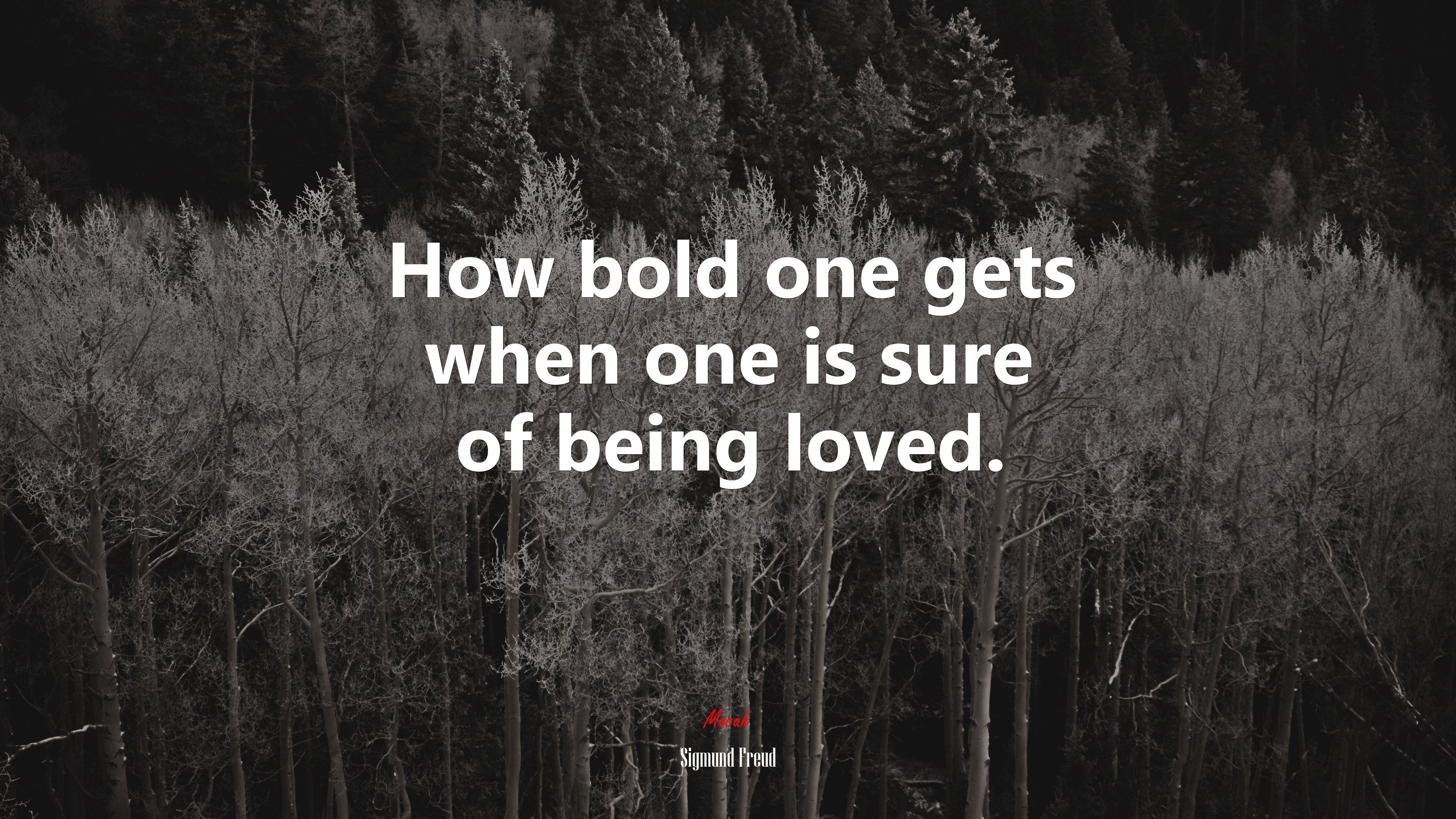 How bold one gets when one is sure of being loved. | Sigmund Freud quote HD Wallpaper
