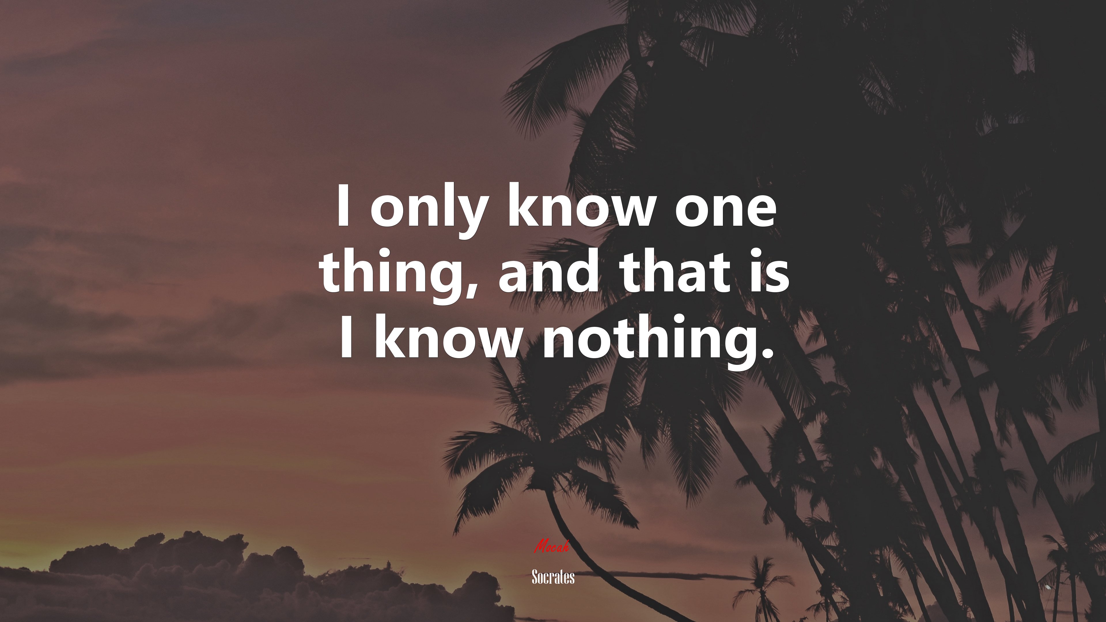 I only know one thing, and that is I know nothing. | Socrates quote HD Wallpaper