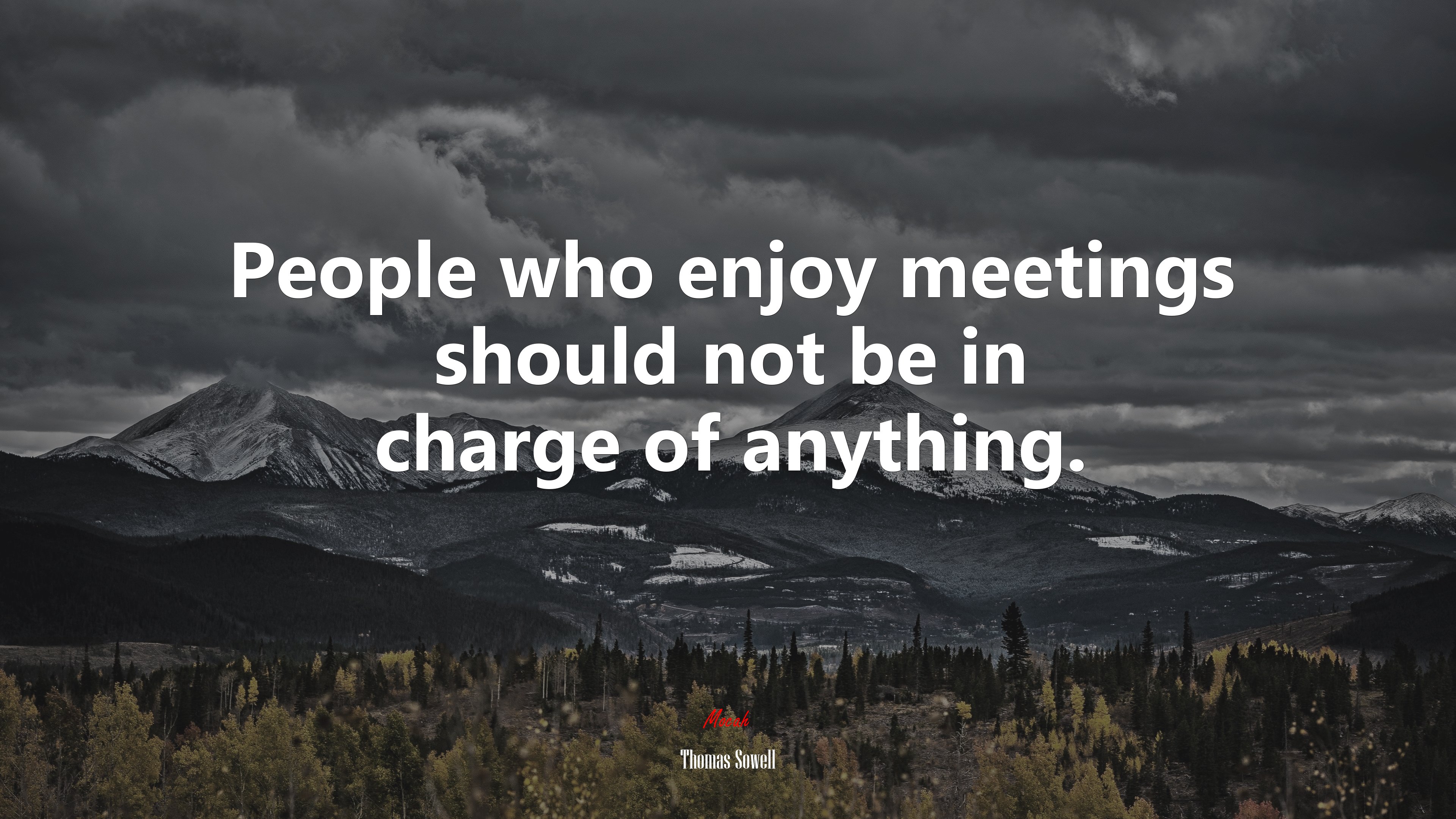 People who enjoy meetings should not be in charge of anything. | Thomas Sowell quote HD Wallpaper