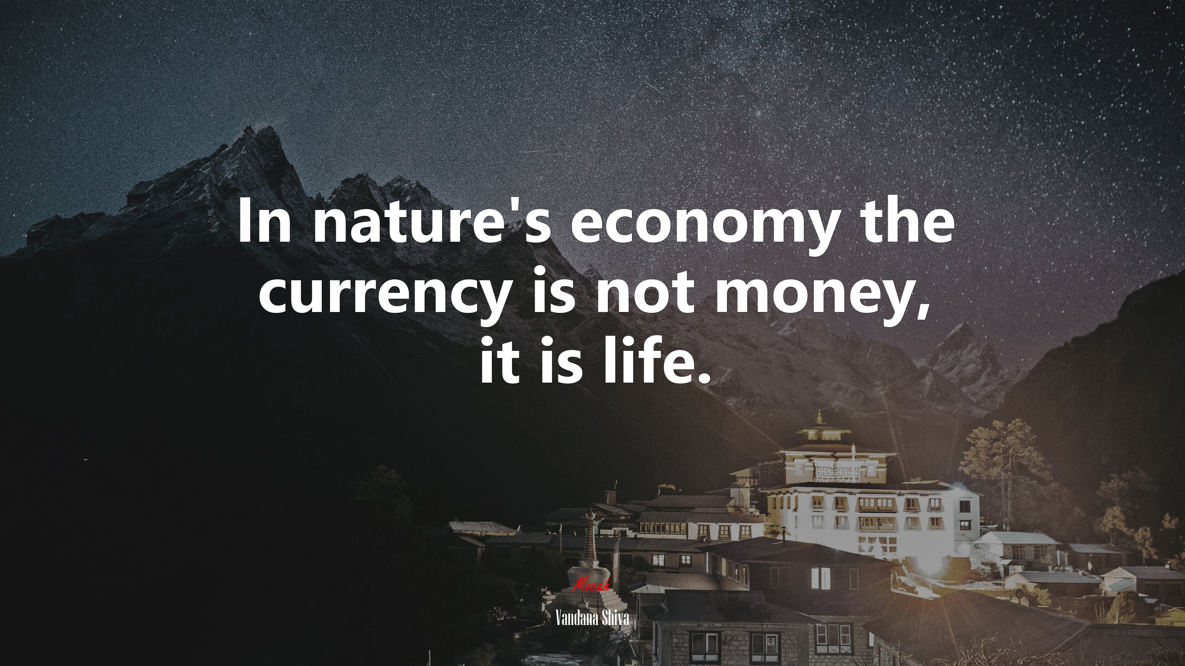 In nature’s economy the currency is not money, it is life. | Vandana Shiva quote HD Wallpaper