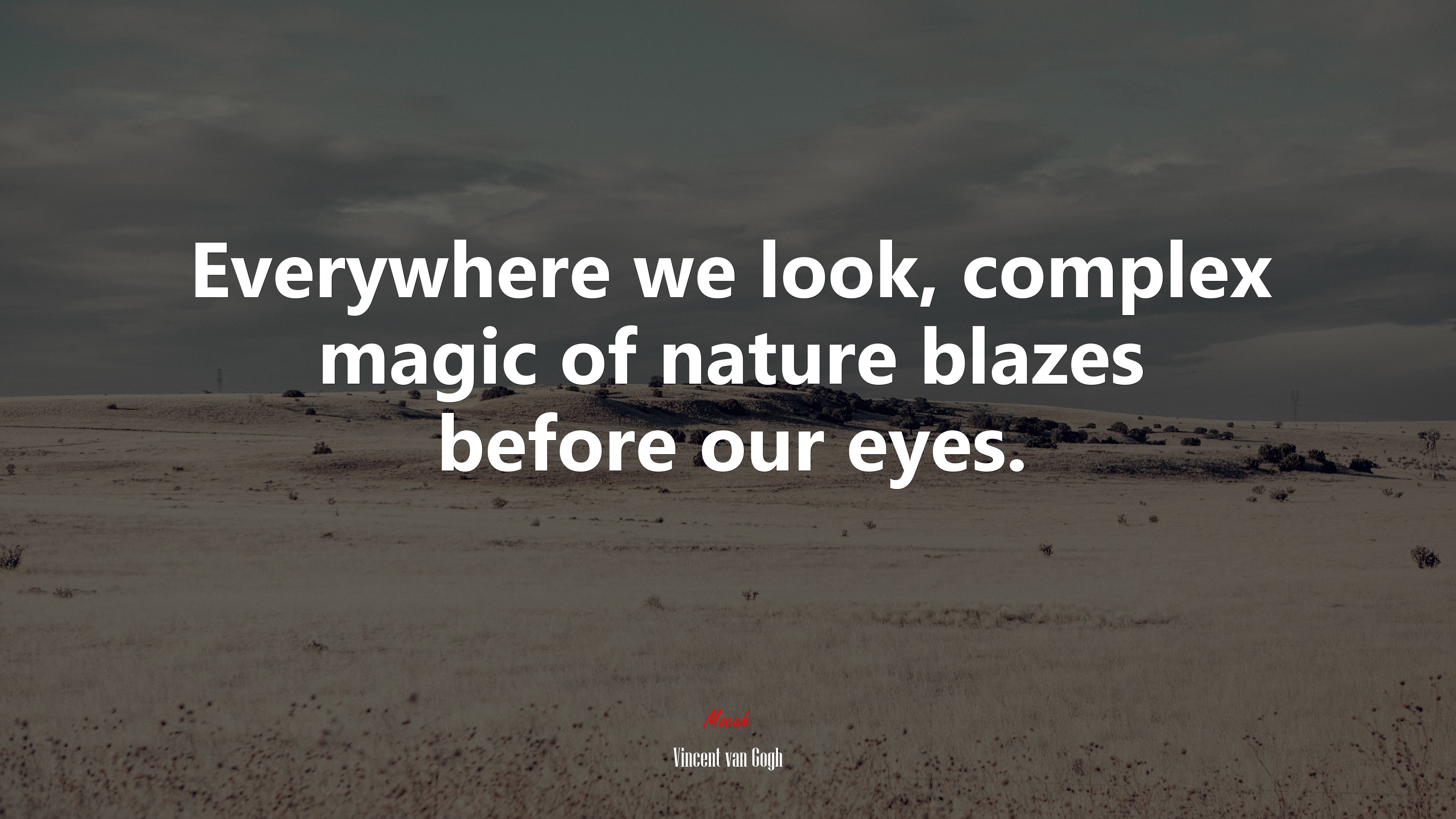 Everywhere we look, complex magic of nature blazes before our eyes. | Vincent van Gogh quote HD Wallpaper