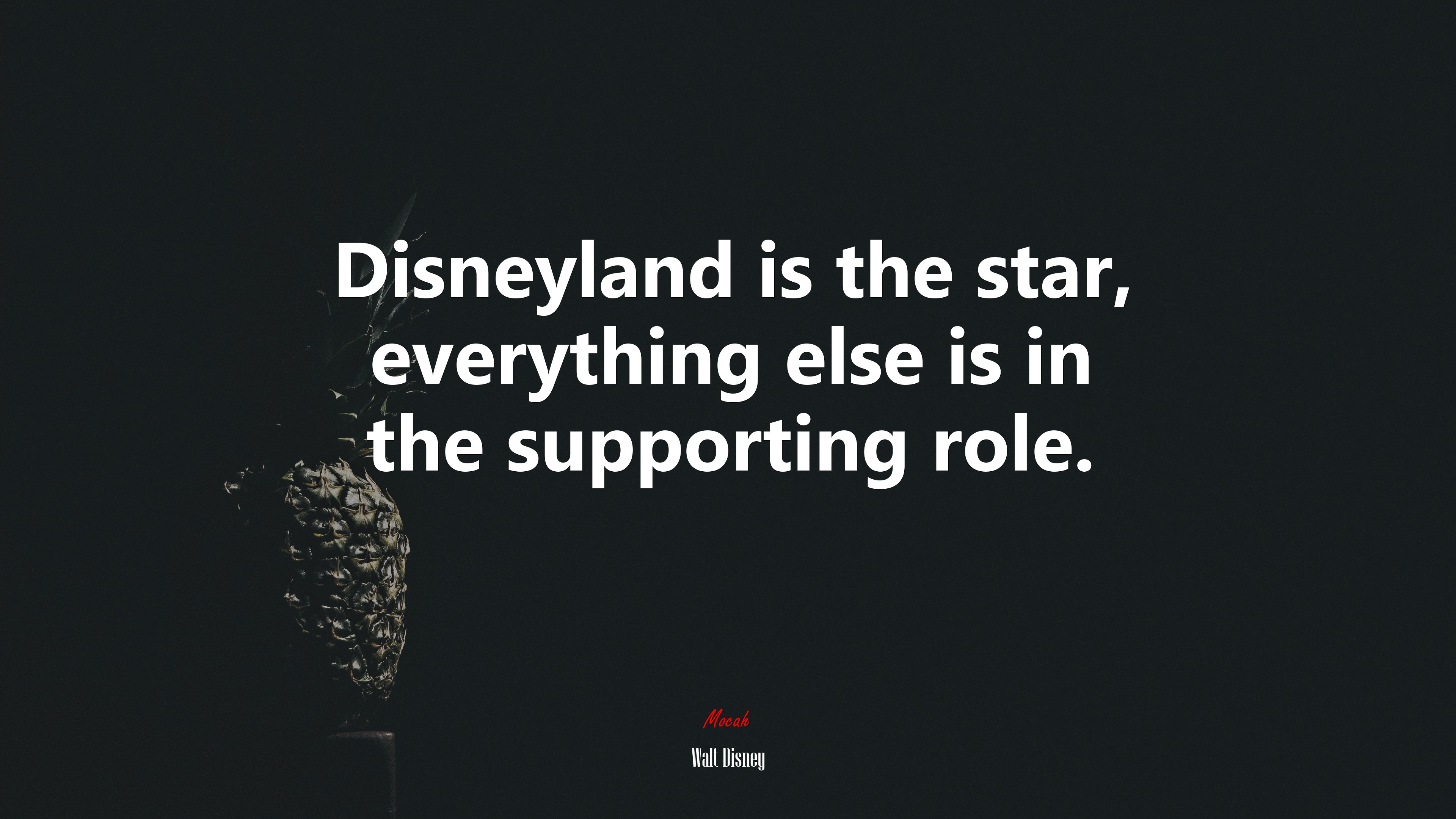 Disneyland is the star, everything else is in the supporting role. | Walt Disney quote HD Wallpaper