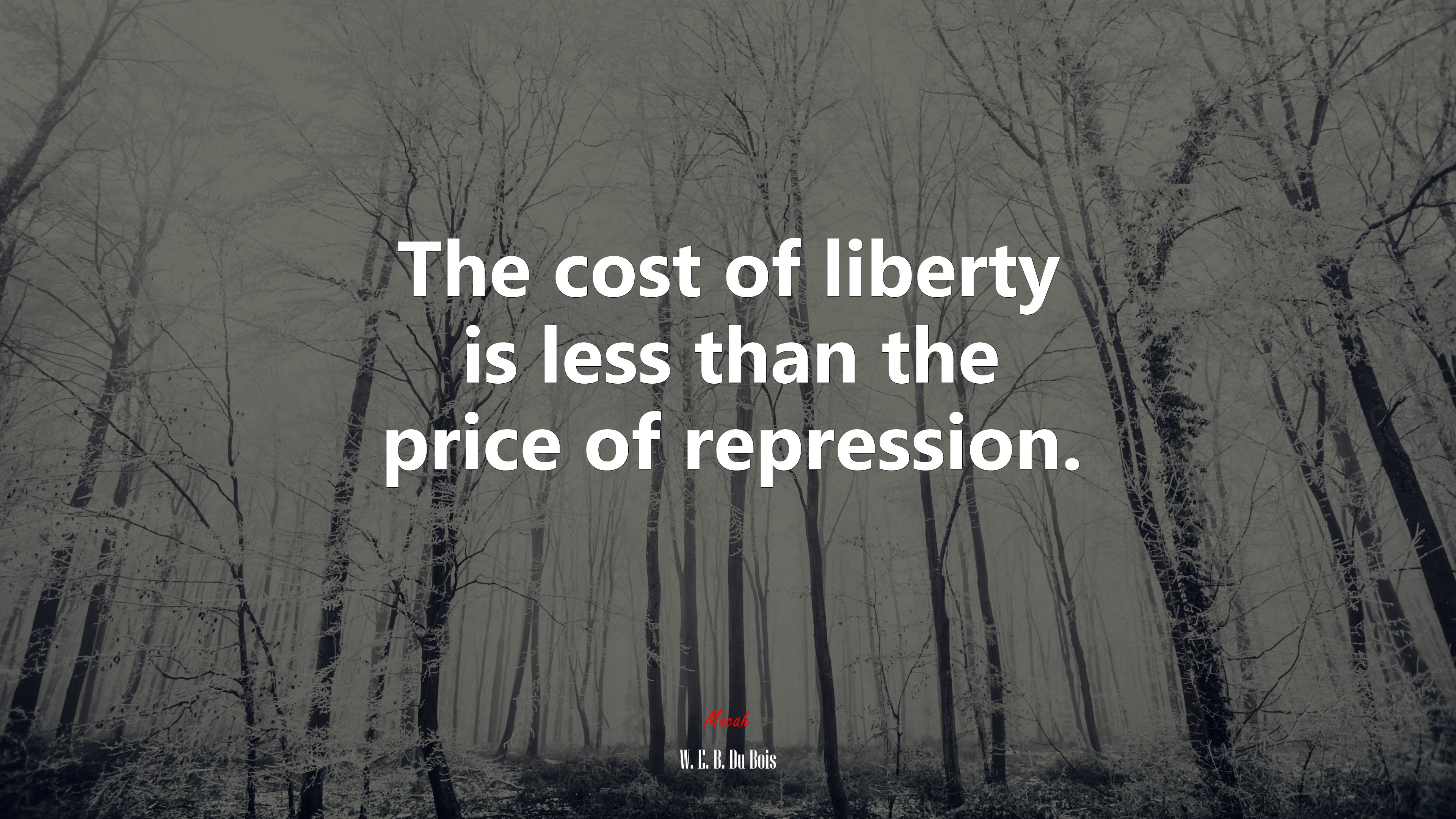 The cost of liberty is less than the price of repression. | W. E. B. Du Bois quote HD Wallpaper