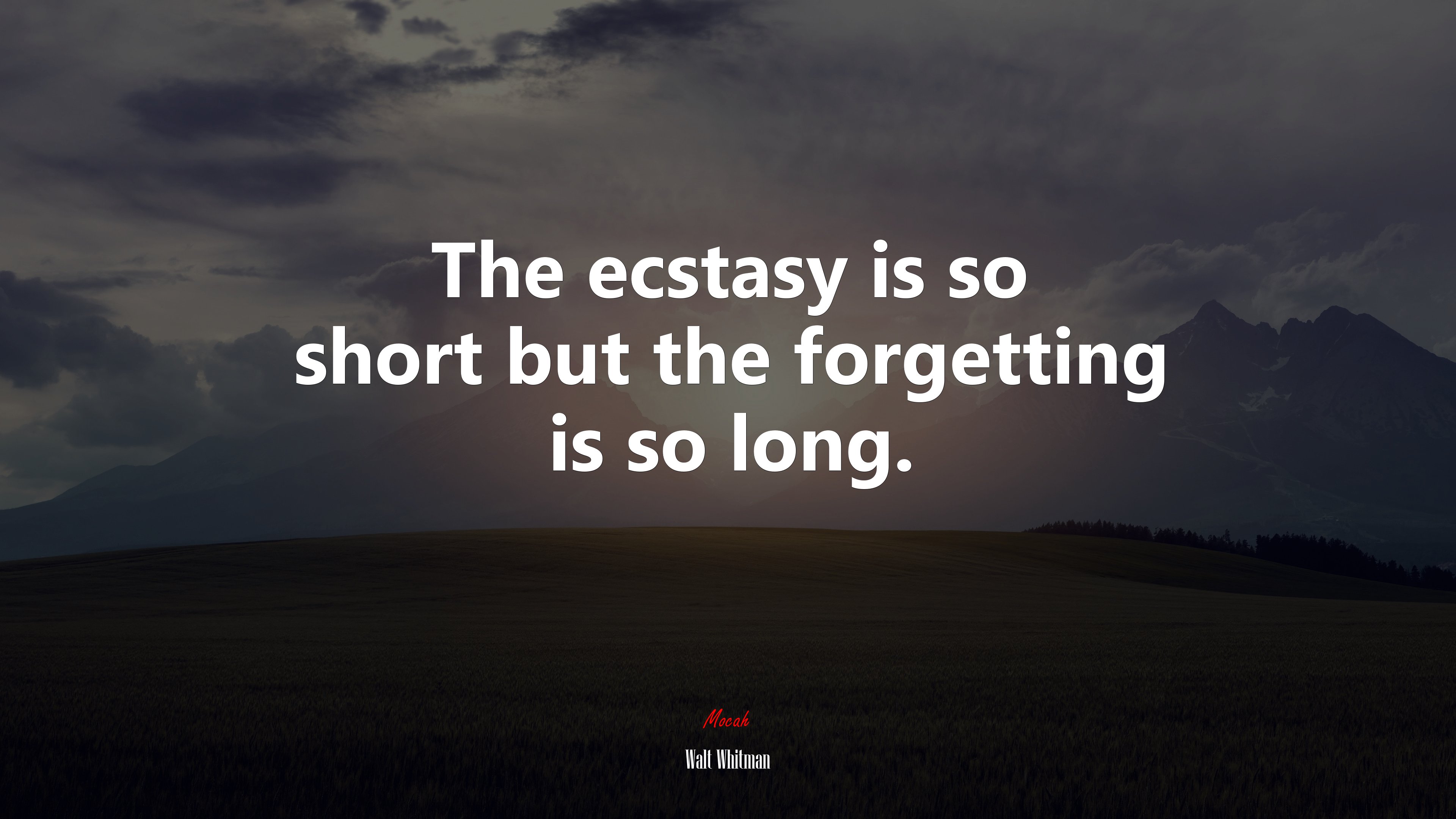 The ecstasy is so short but the forgetting is so long. | Walt Whitman quote HD Wallpaper