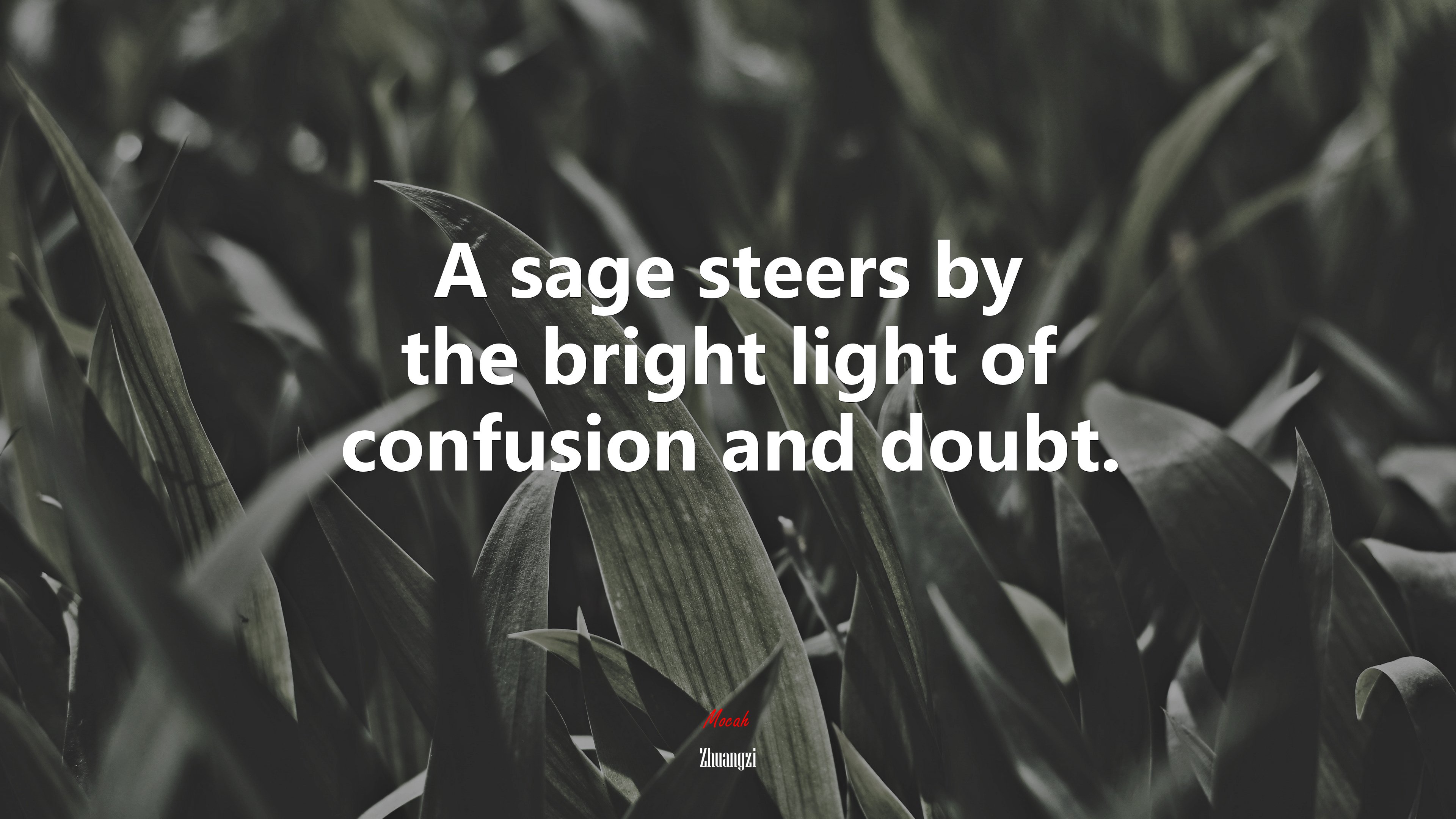 A sage steers by the bright light of confusion and doubt. | Zhuangzi quote HD Wallpaper