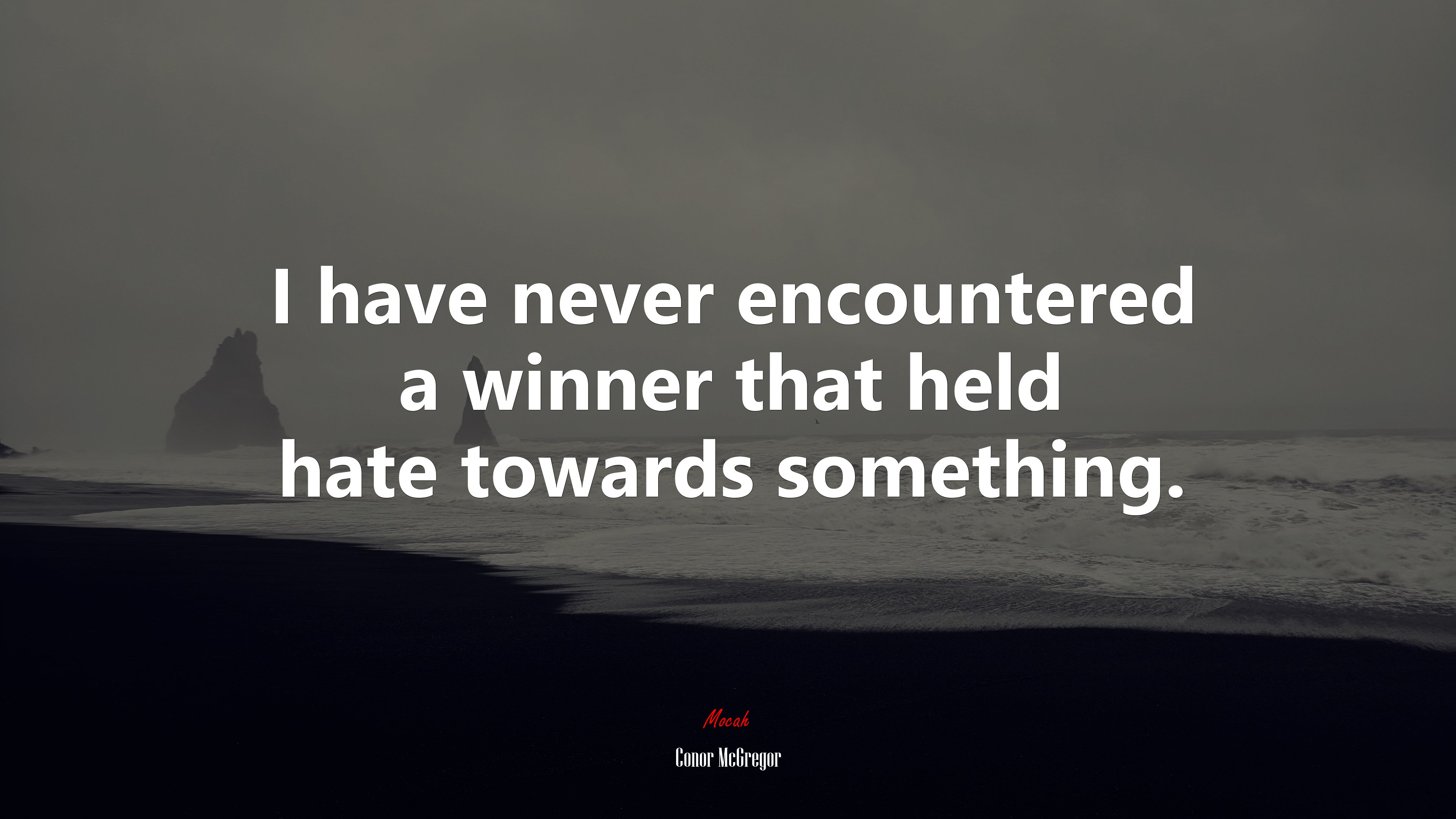 I have never encountered a winner that held hate towards something. | Conor McGregor quote HD Wallpaper