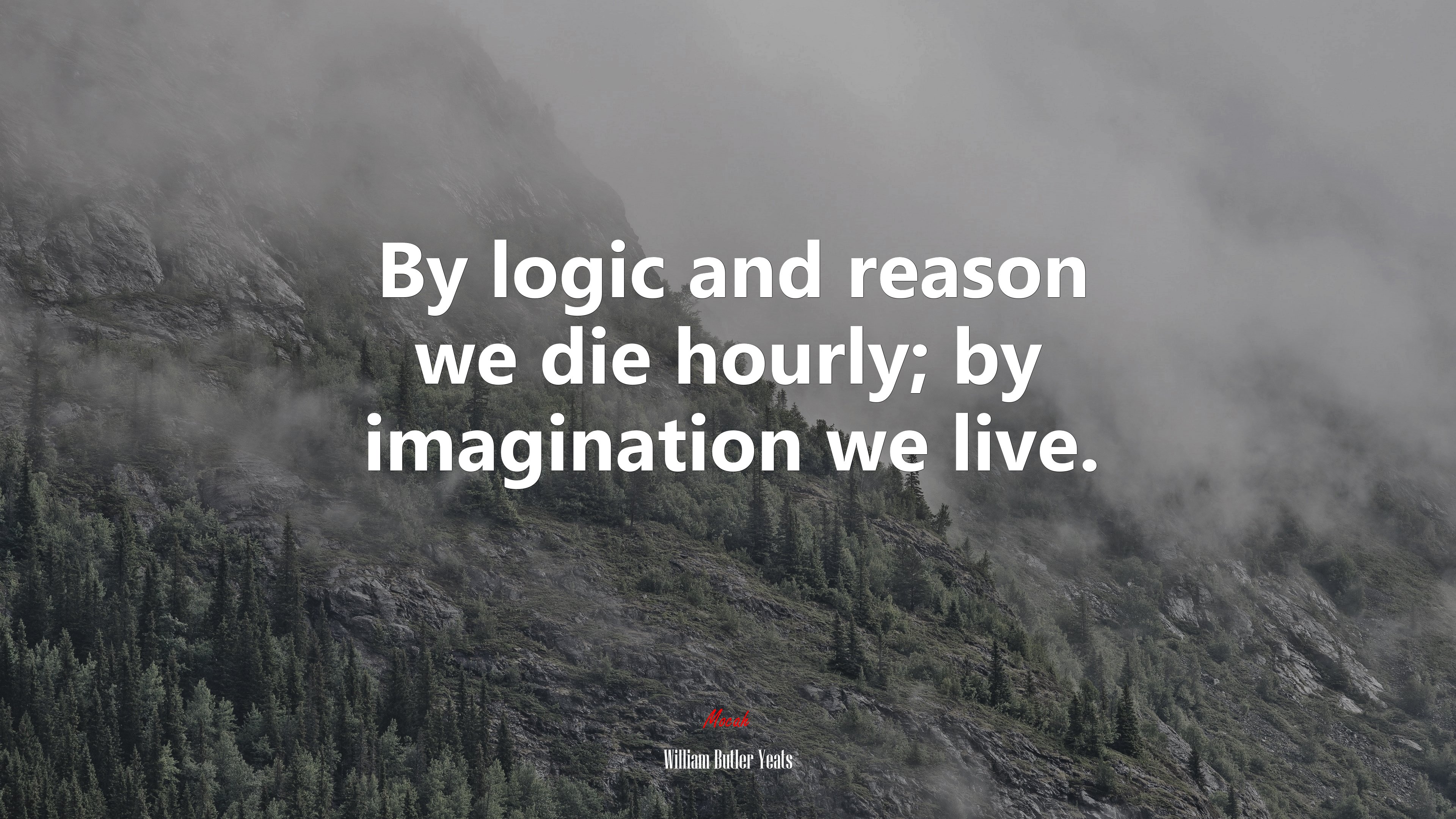 By logic and reason we die hourly; by imagination we live. | William Butler Yeats quote HD Wallpaper