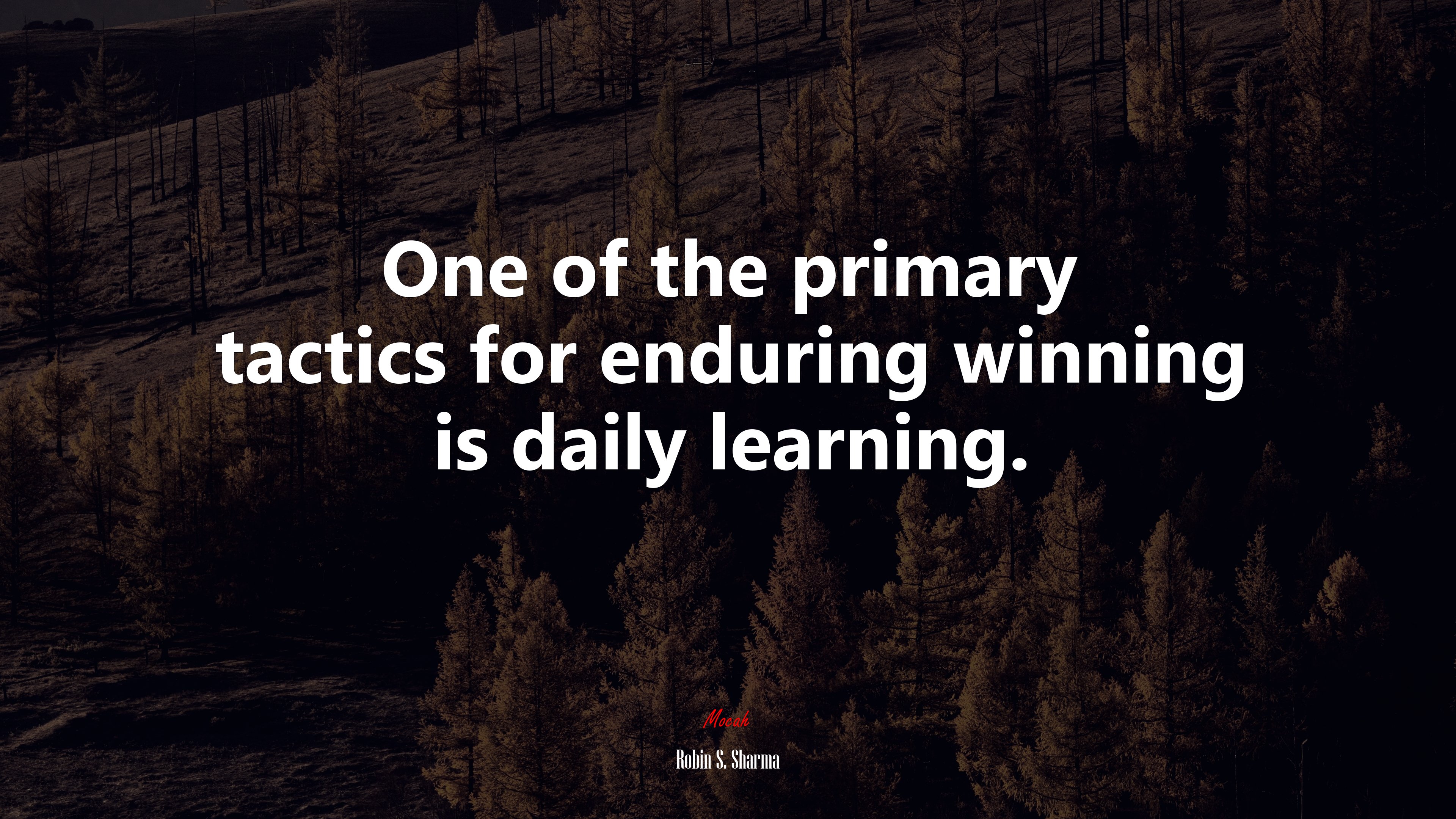 One of the primary tactics for enduring winning is daily learning. | Robin S. Sharma quote HD Wallpaper