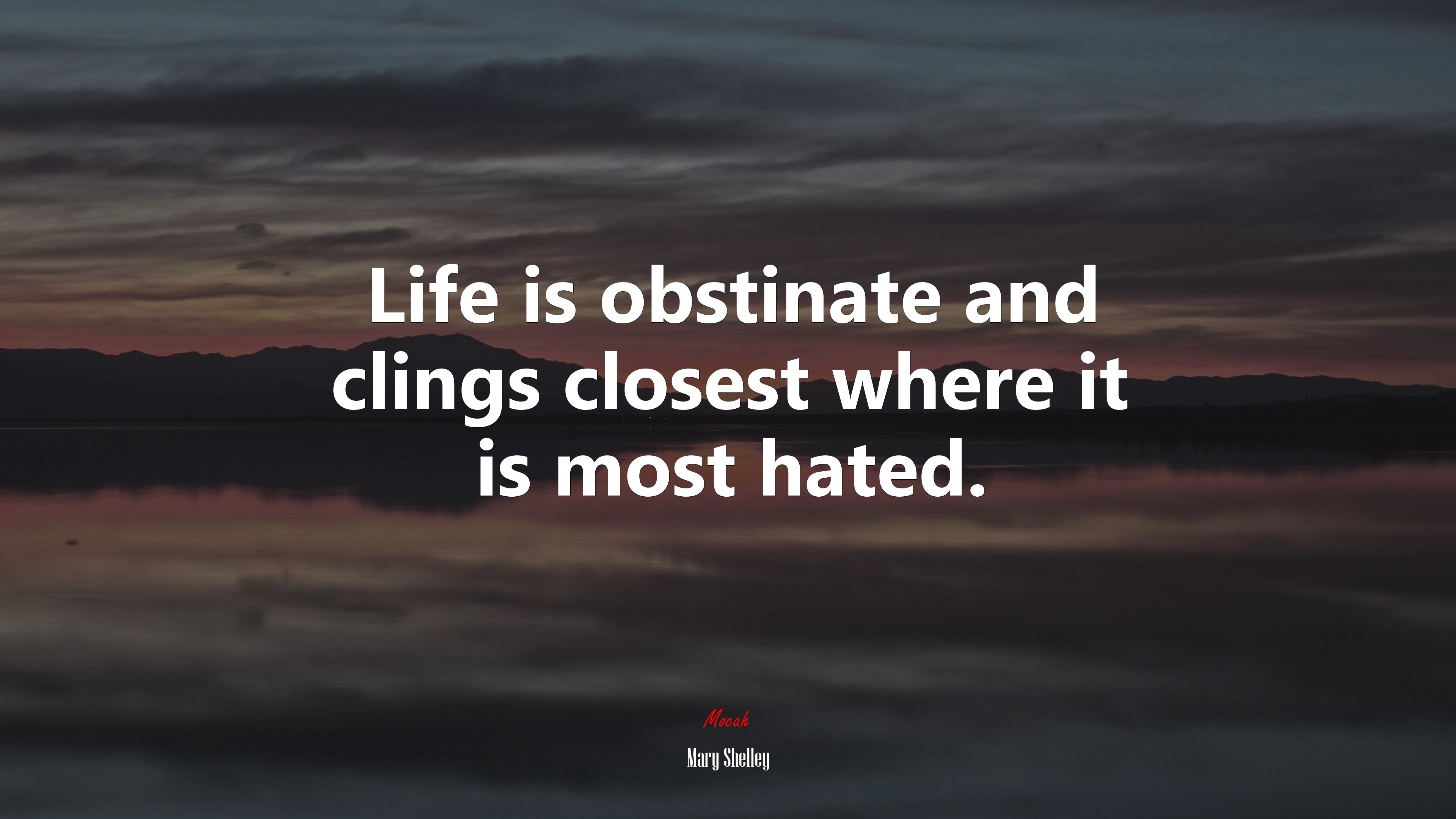 Life is obstinate and clings closest where it is most hated. | Mary Shelley quote HD Wallpaper