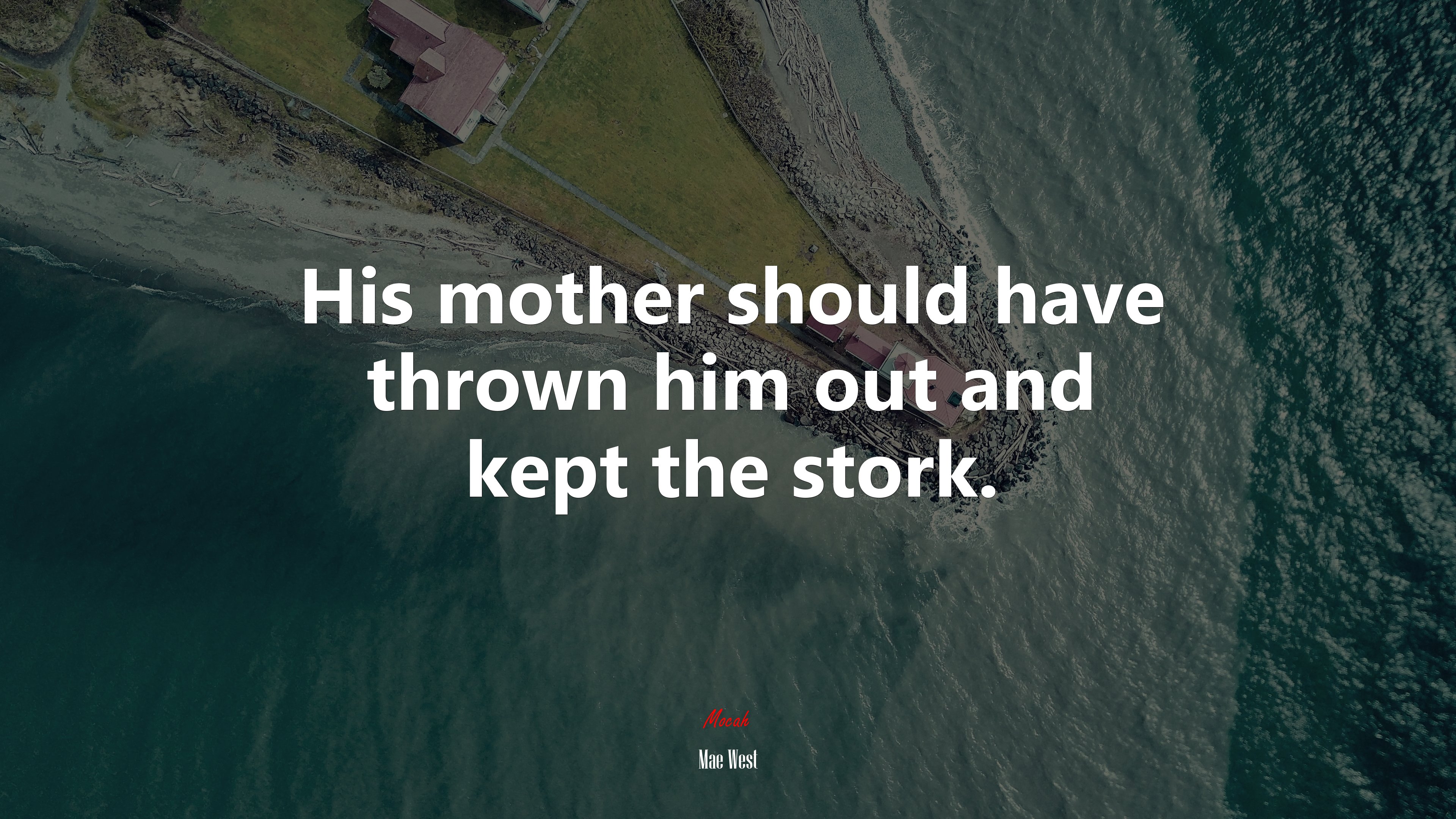 His mother should have thrown him out and kept the stork. | Mae West quote HD Wallpaper