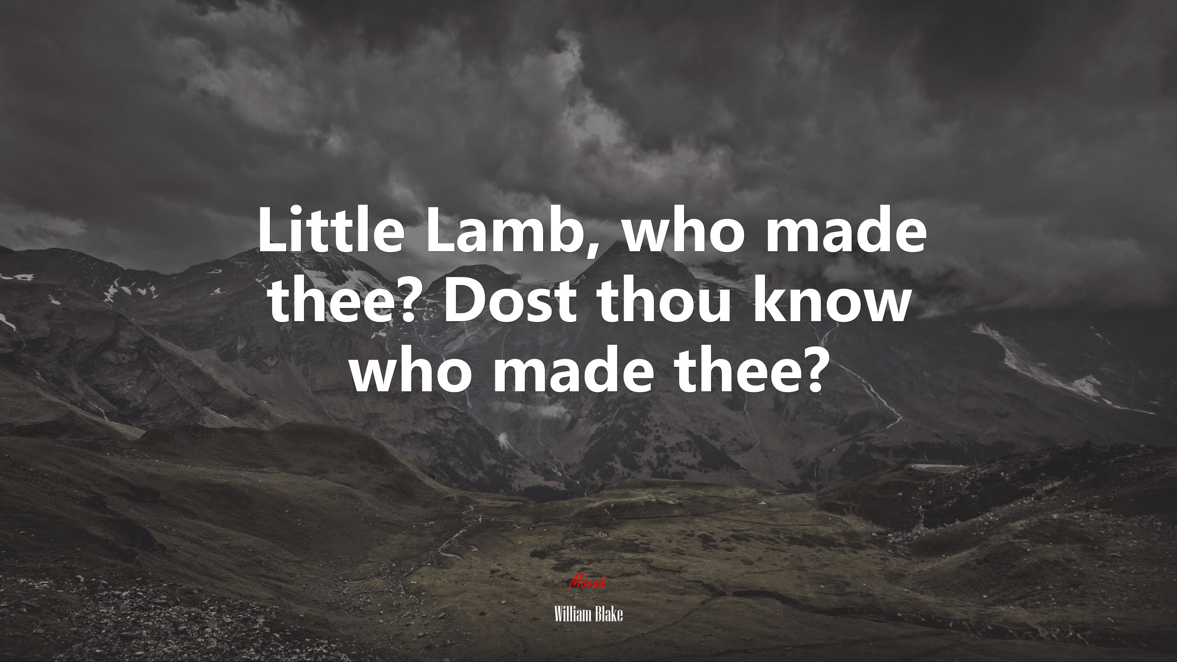 Little Lamb, who made thee? Dost thou know who made thee? | William Blake quote HD Wallpaper