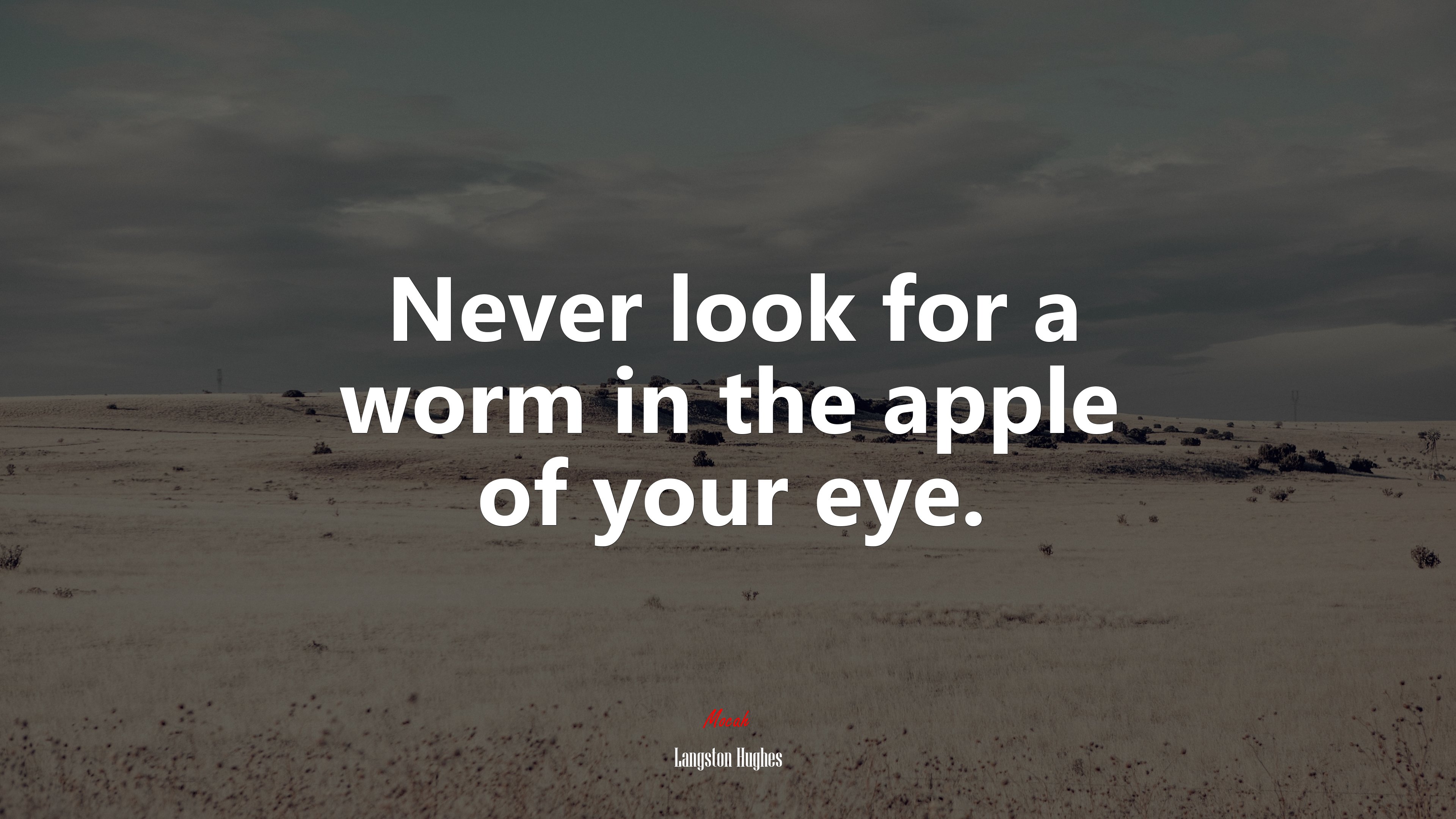 Never look for a worm in the apple of your eye. | Langston Hughes quote HD Wallpaper