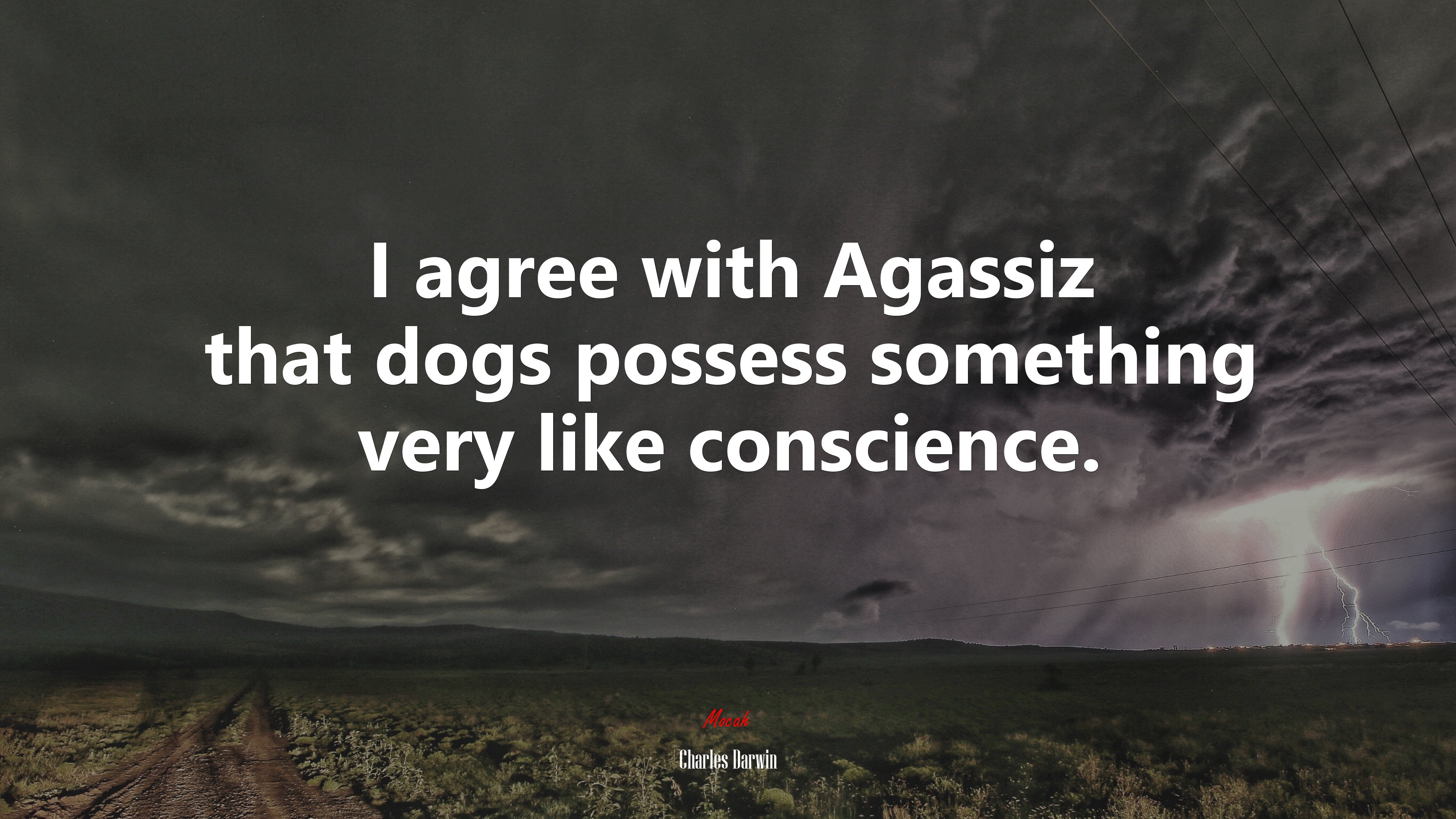 I agree with Agassiz that dogs possess something very like conscience. | Charles Darwin quote HD Wallpaper