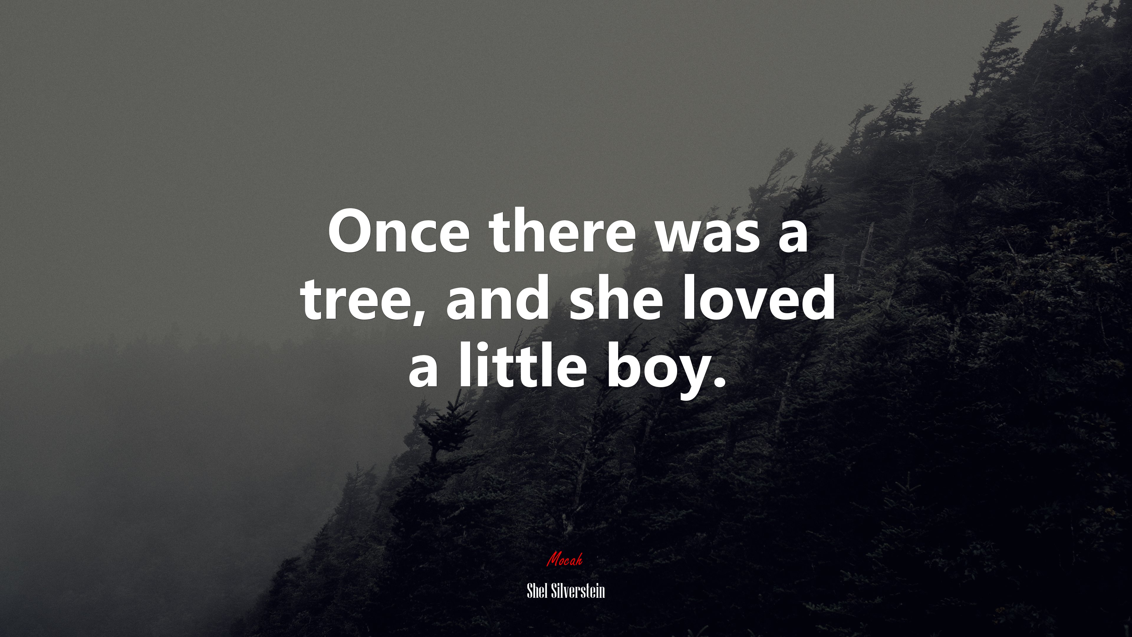 Once there was a tree, and she loved a little boy. | Shel Silverstein quote HD Wallpaper