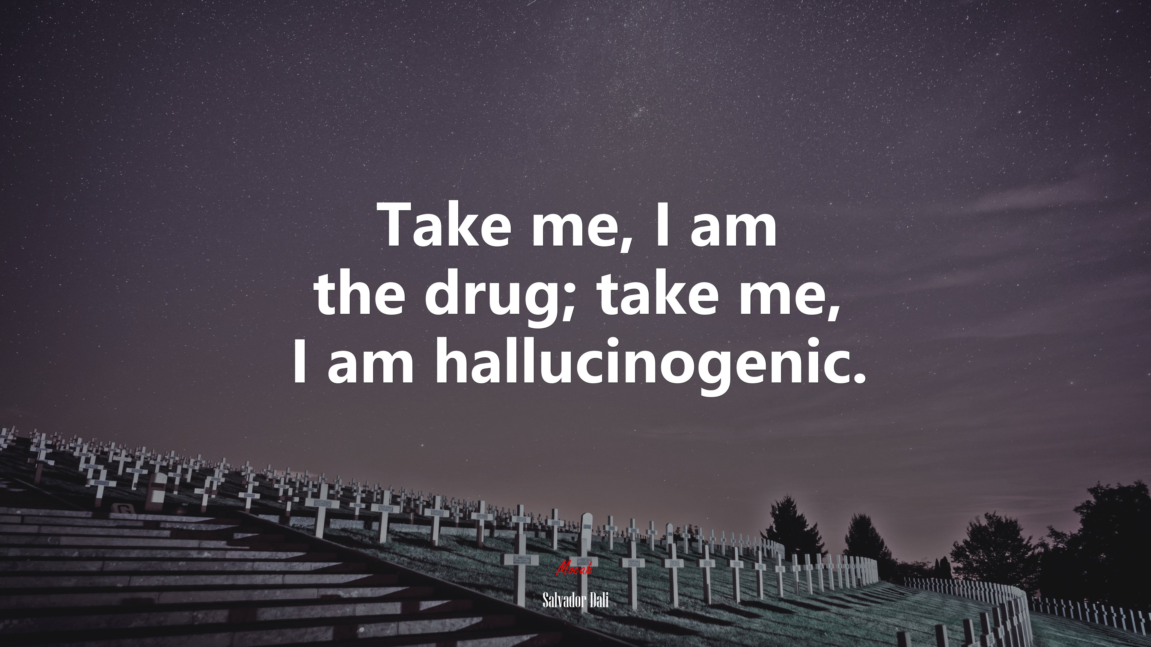 Take me, I am the drug; take me, I am hallucinogenic. | Salvador Dalí quote HD Wallpaper