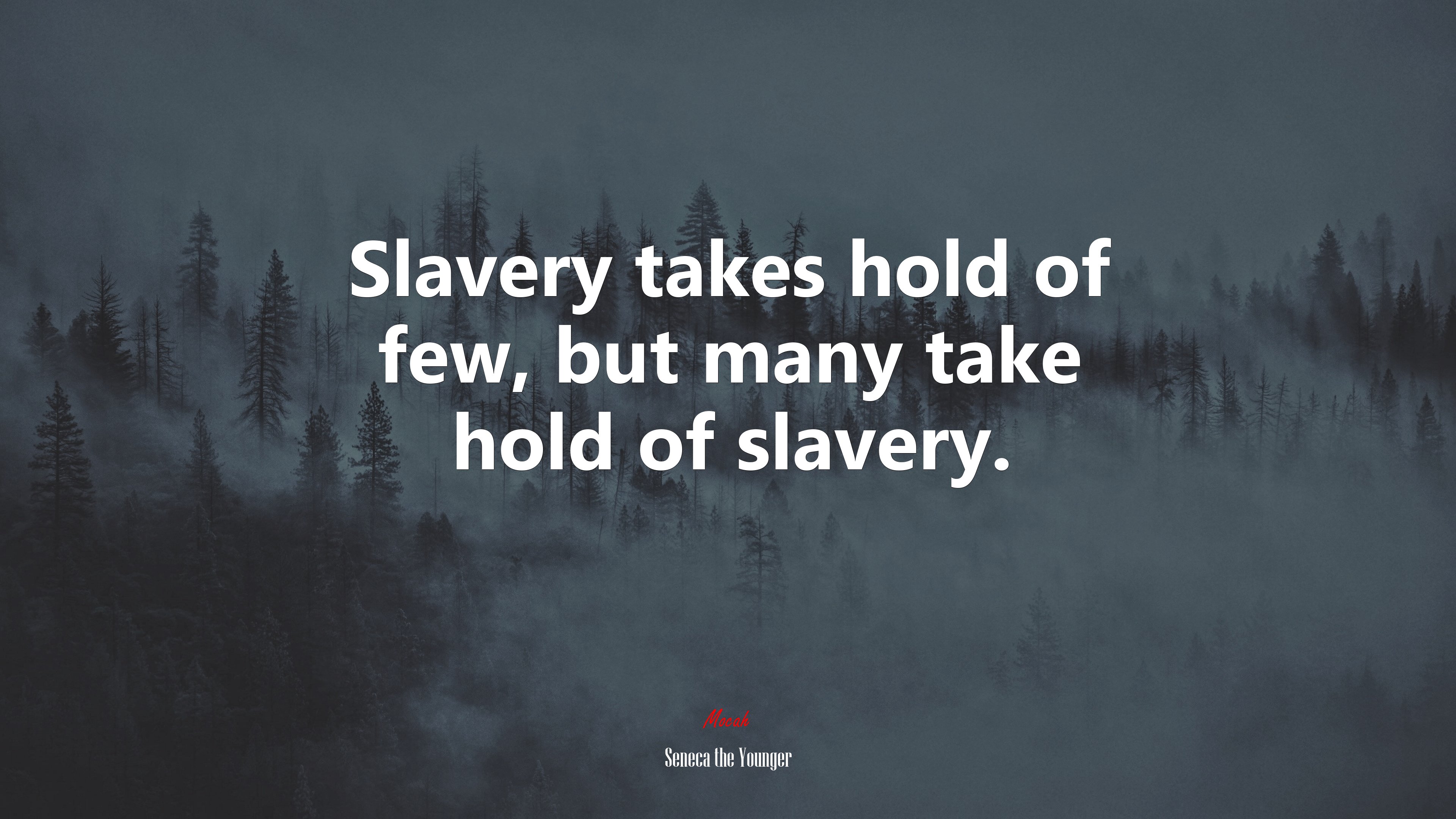 Slavery takes hold of few, but many take hold of slavery. | Seneca the Younger quote HD Wallpaper