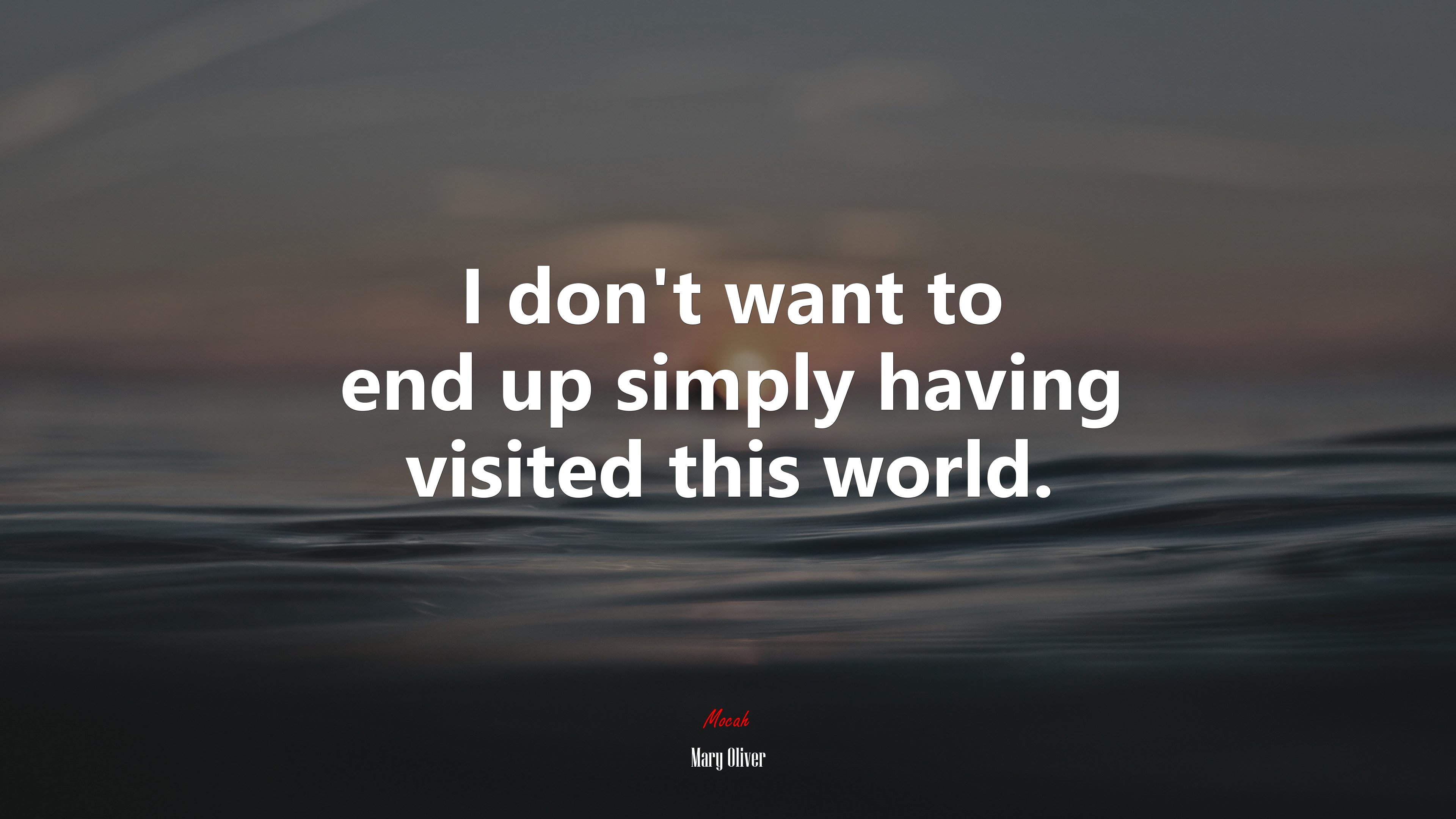 I don’t want to end up simply having visited this world. | Mary Oliver quote HD Wallpaper