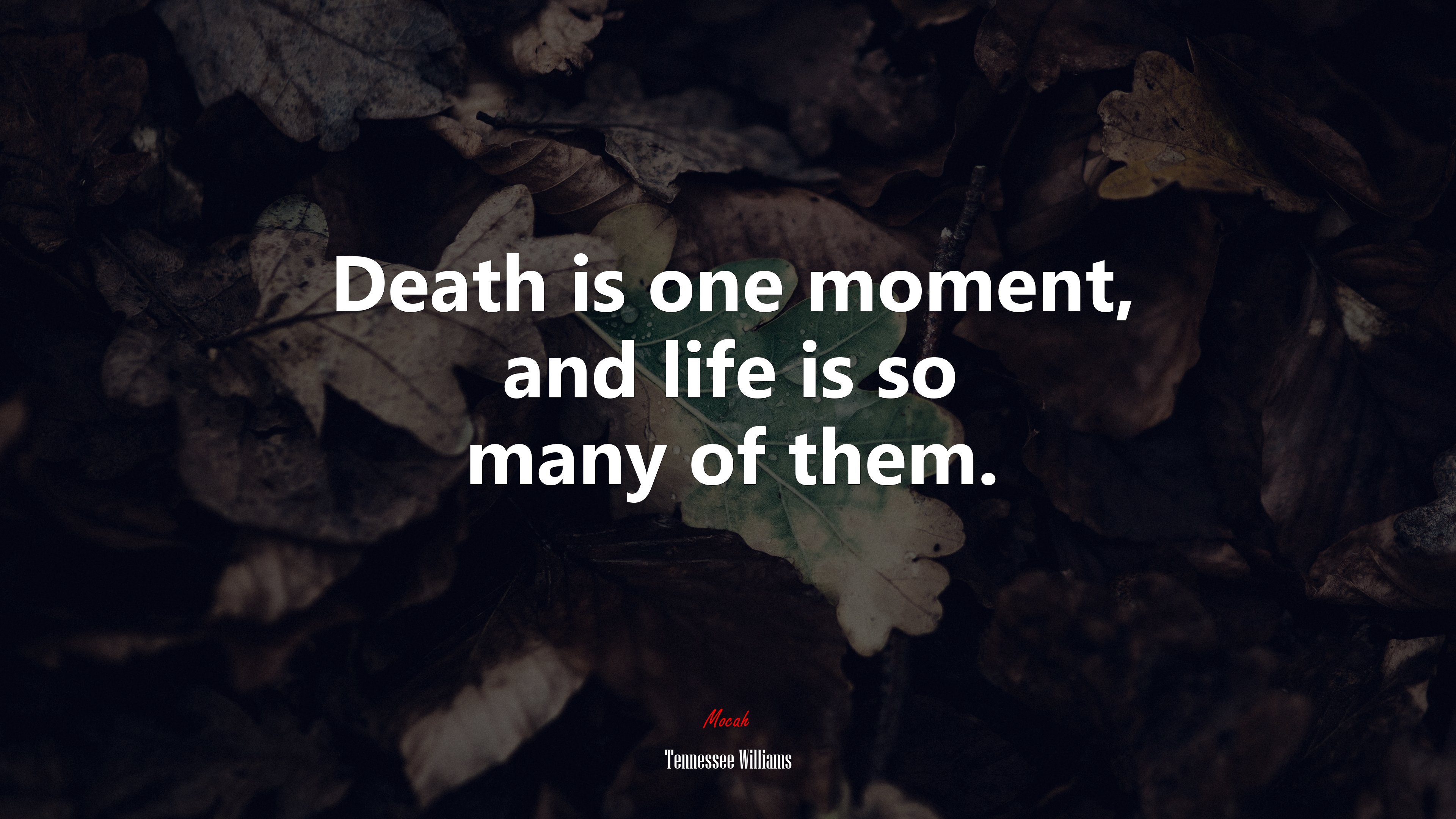 Death is one moment, and life is so many of them. | Tennessee Williams quote HD Wallpaper