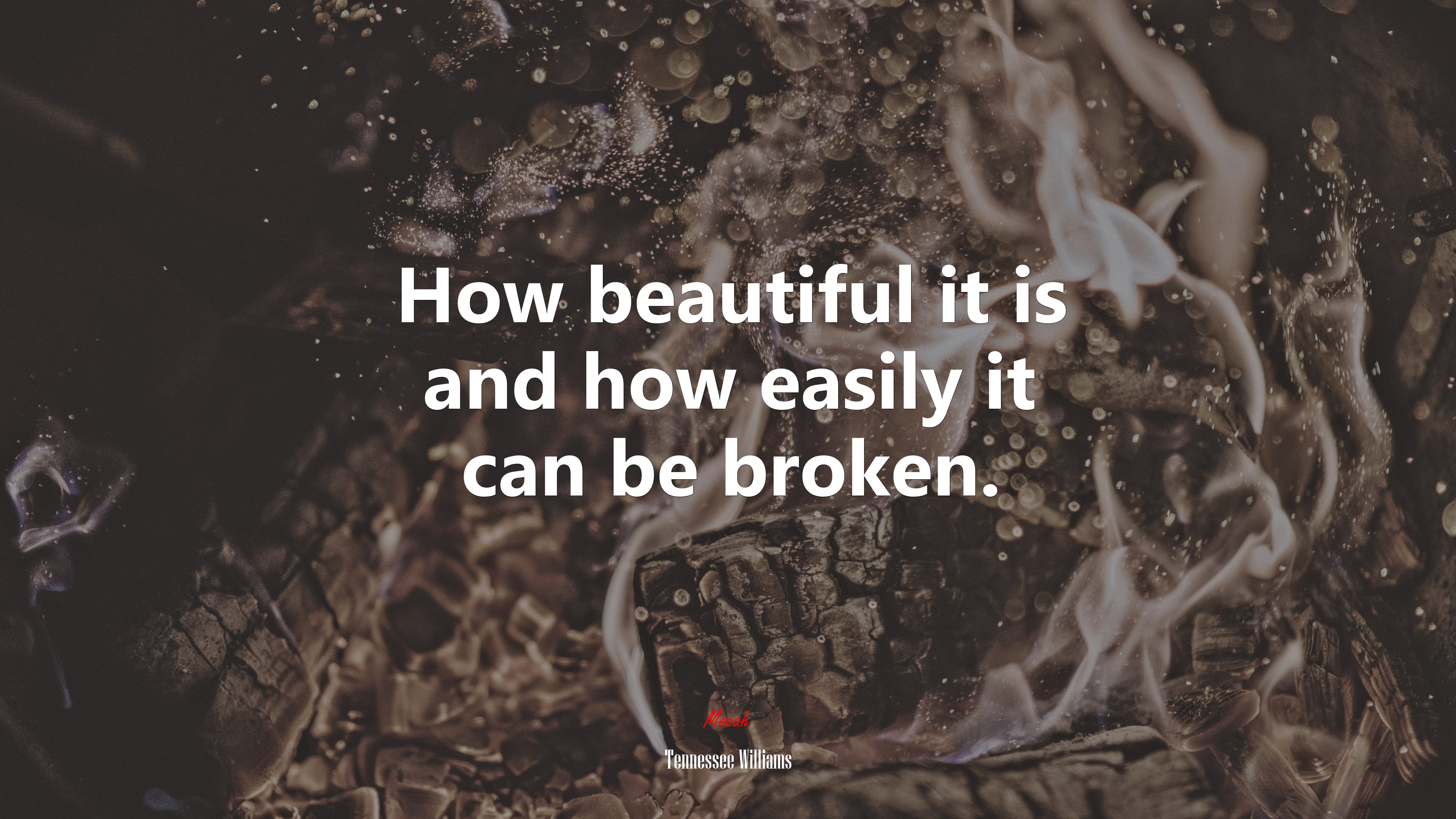 How beautiful it is and how easily it can be broken. | Tennessee Williams quote HD Wallpaper