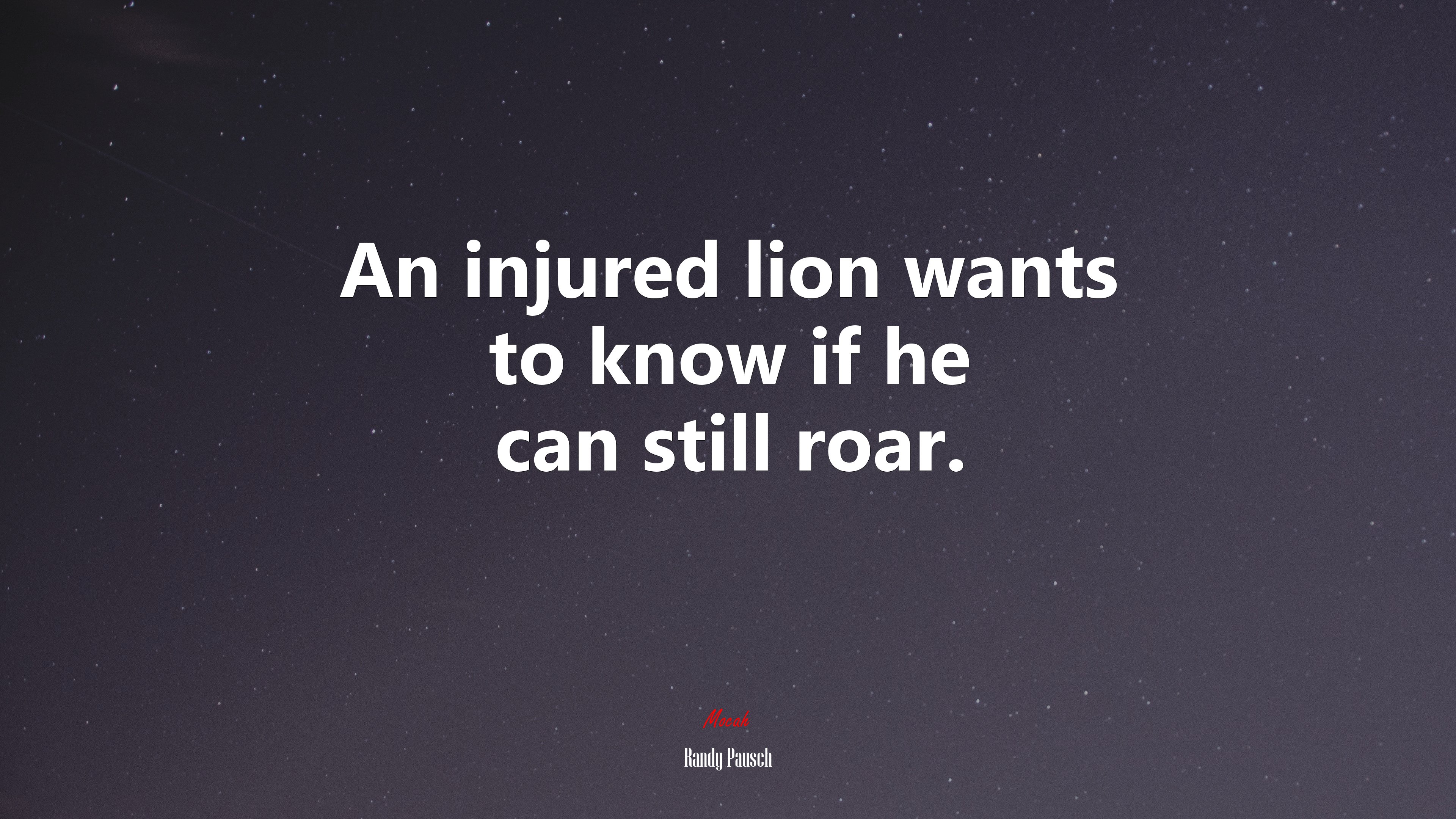 An injured lion wants to know if he can still roar. | Randy Pausch quote HD Wallpaper